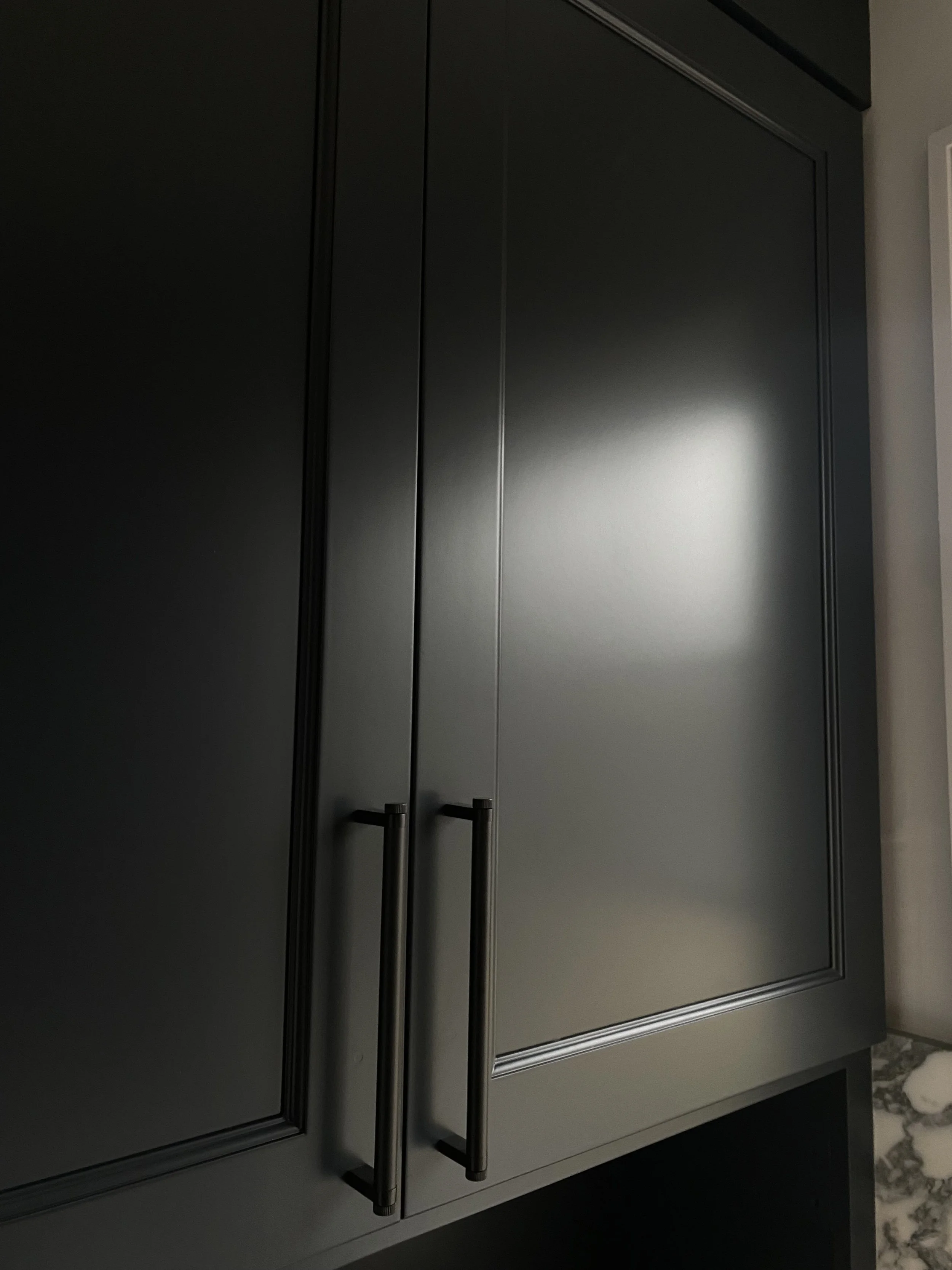 Contemporary Kitchen Remodel by The Chicago Cabinet Painting Co. project photo 2
