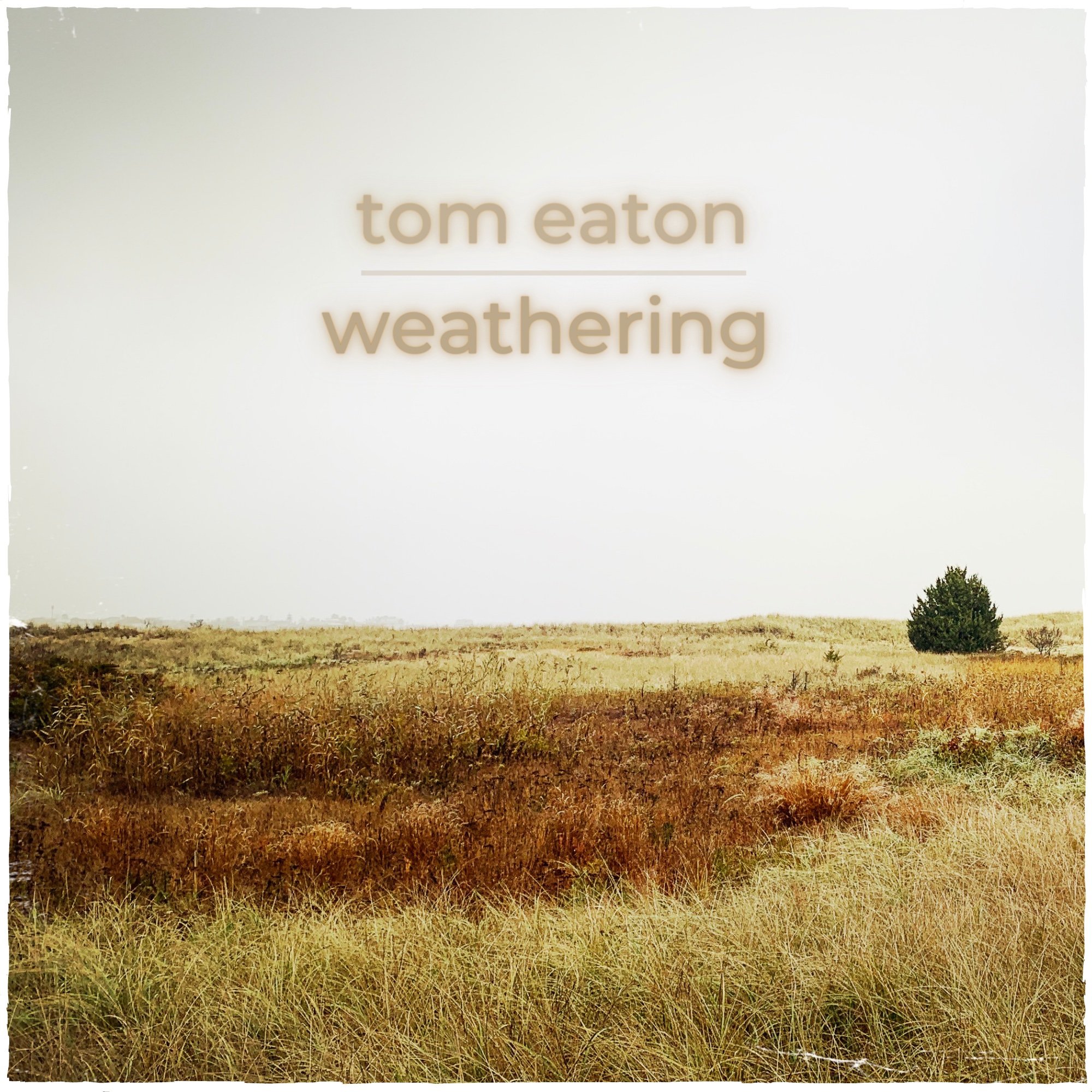ALBUM ART tom eaton - weathering.jpg