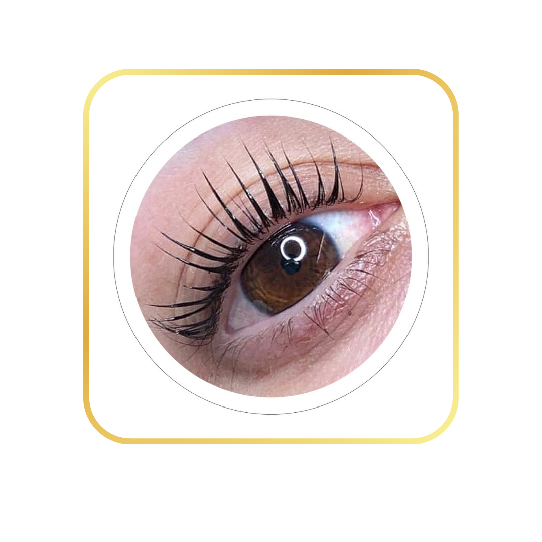 Lash Lift &amp; Tint Online Bootcamp Kit