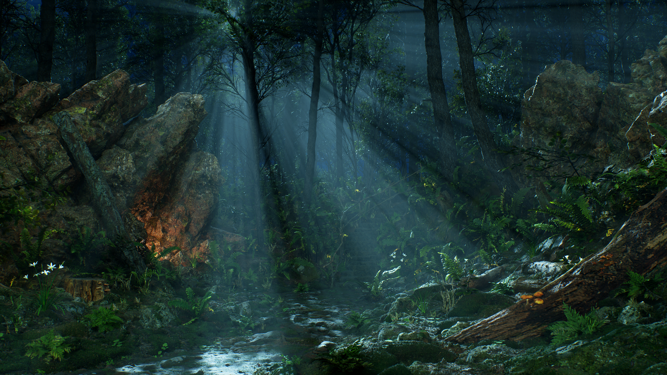 MagicalForest_by_Night_16x9.png