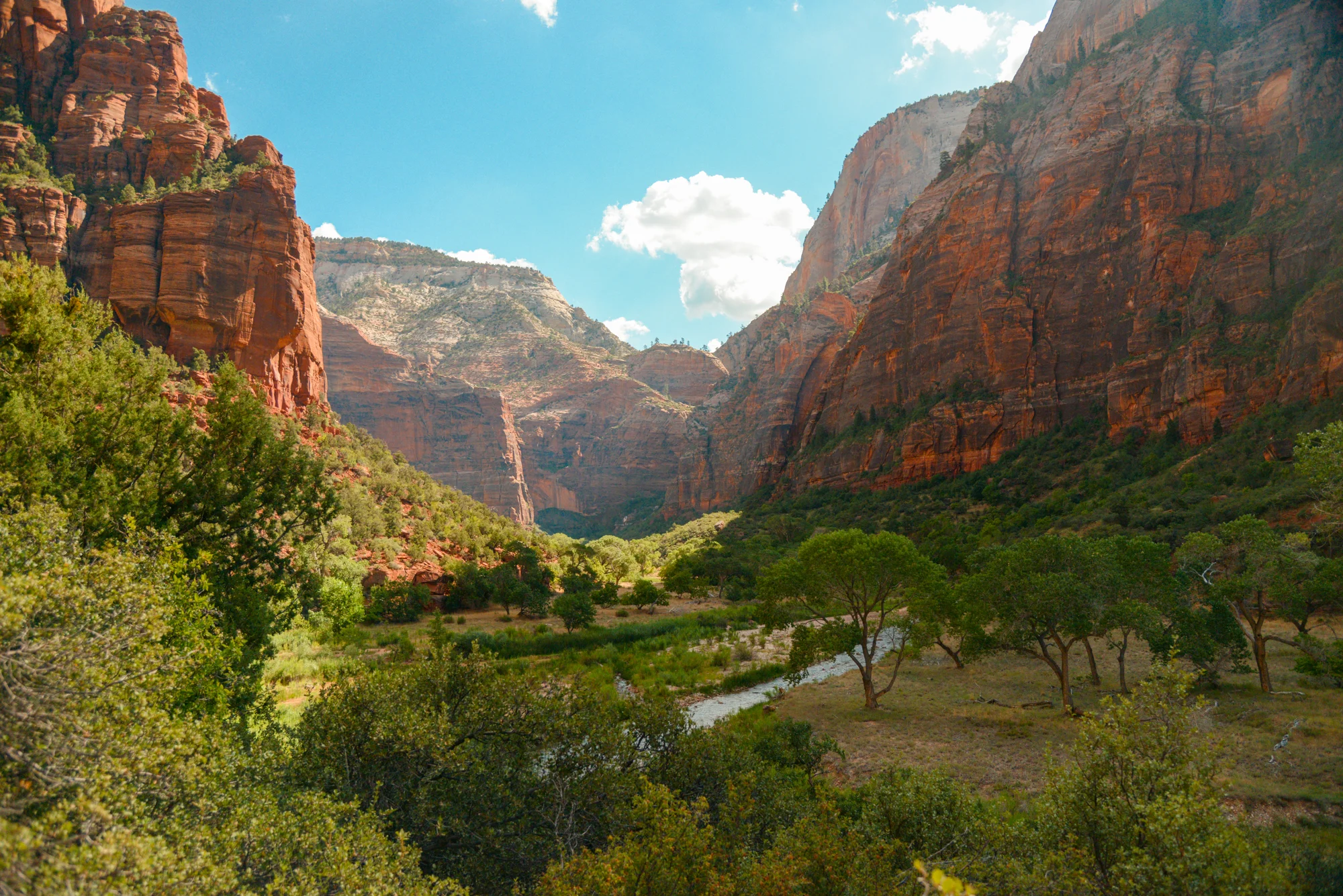 zion-10.jpg