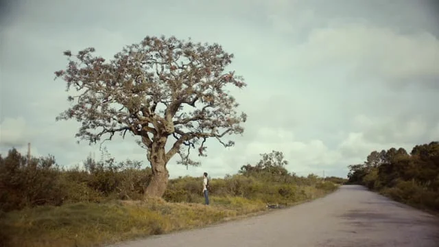 Sprite “Ambition”