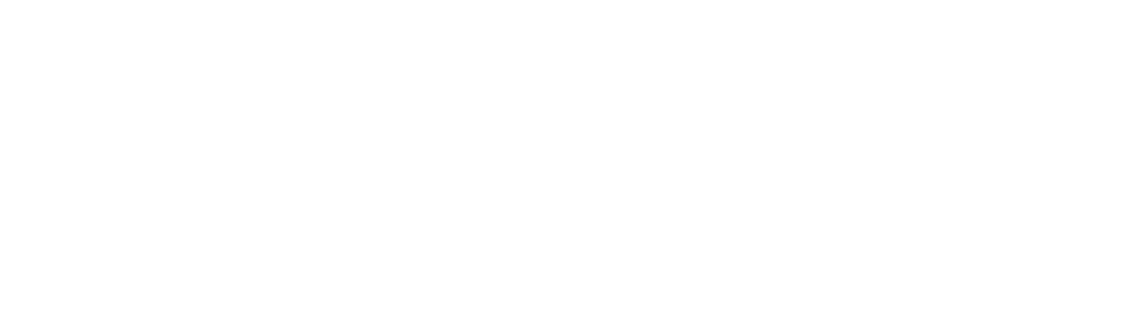 Custer Logo - White.png