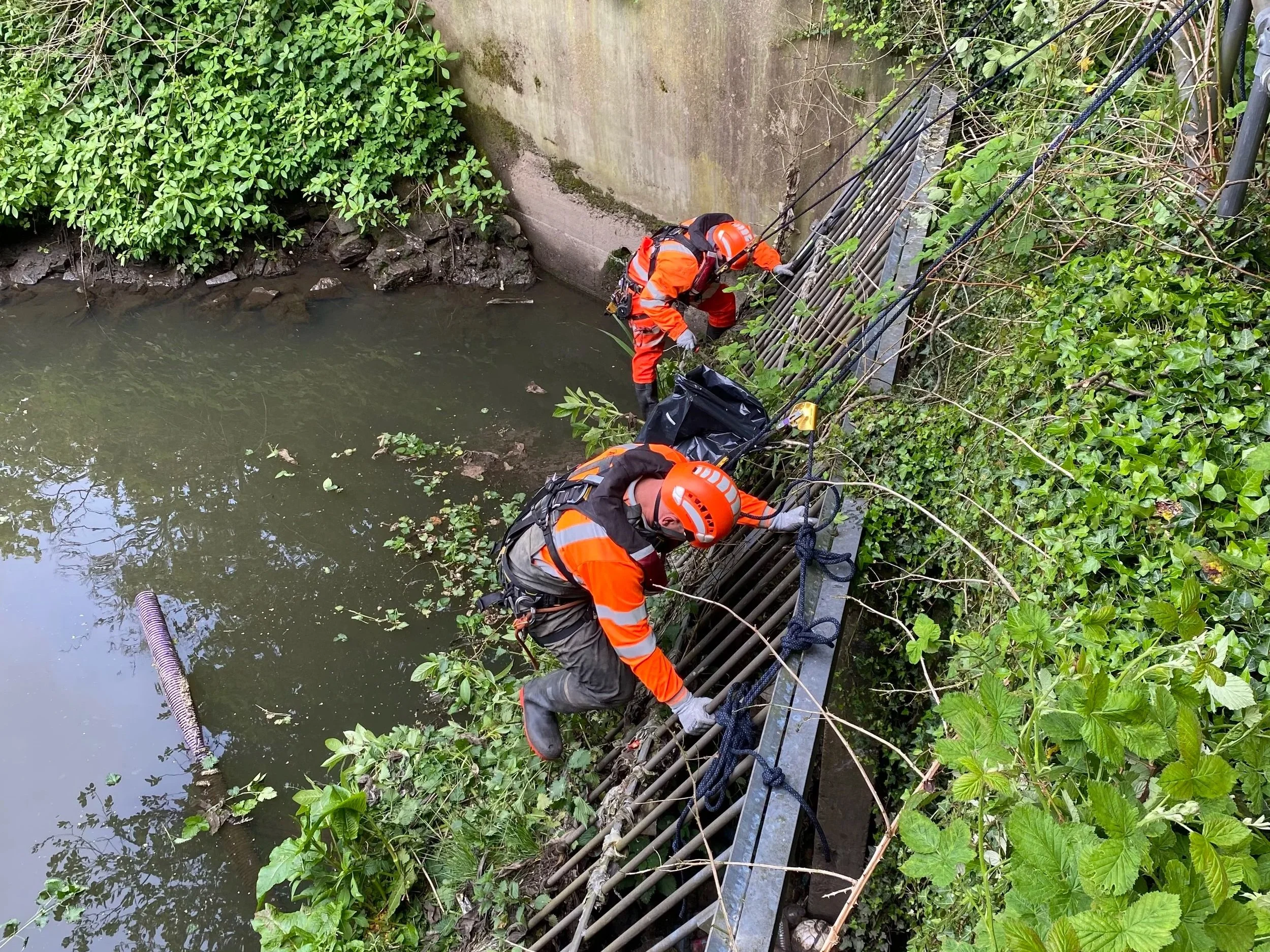 Vegetation Removal