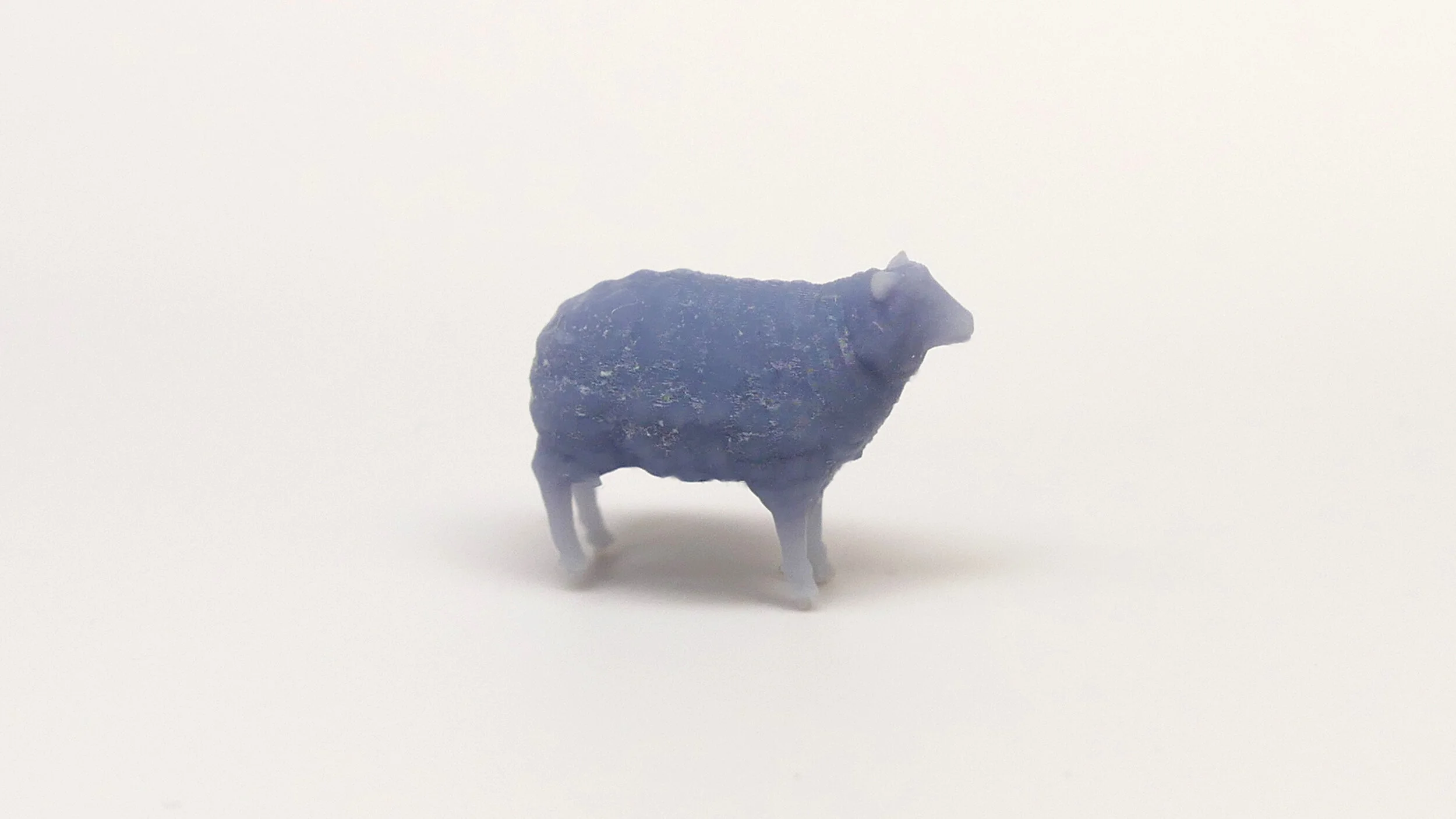 Sheep Fluf1.JPG