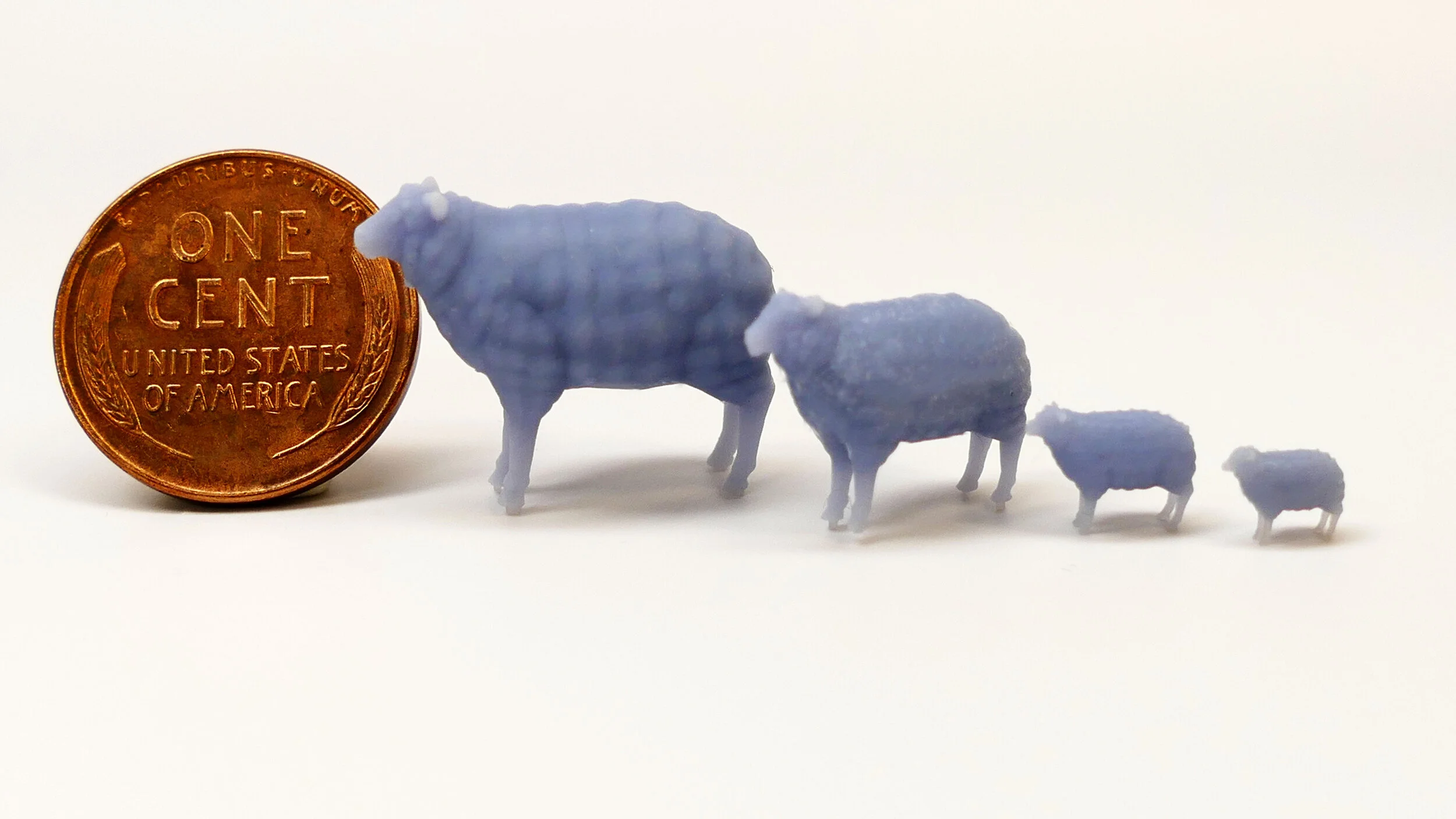 Sheep Size.JPG