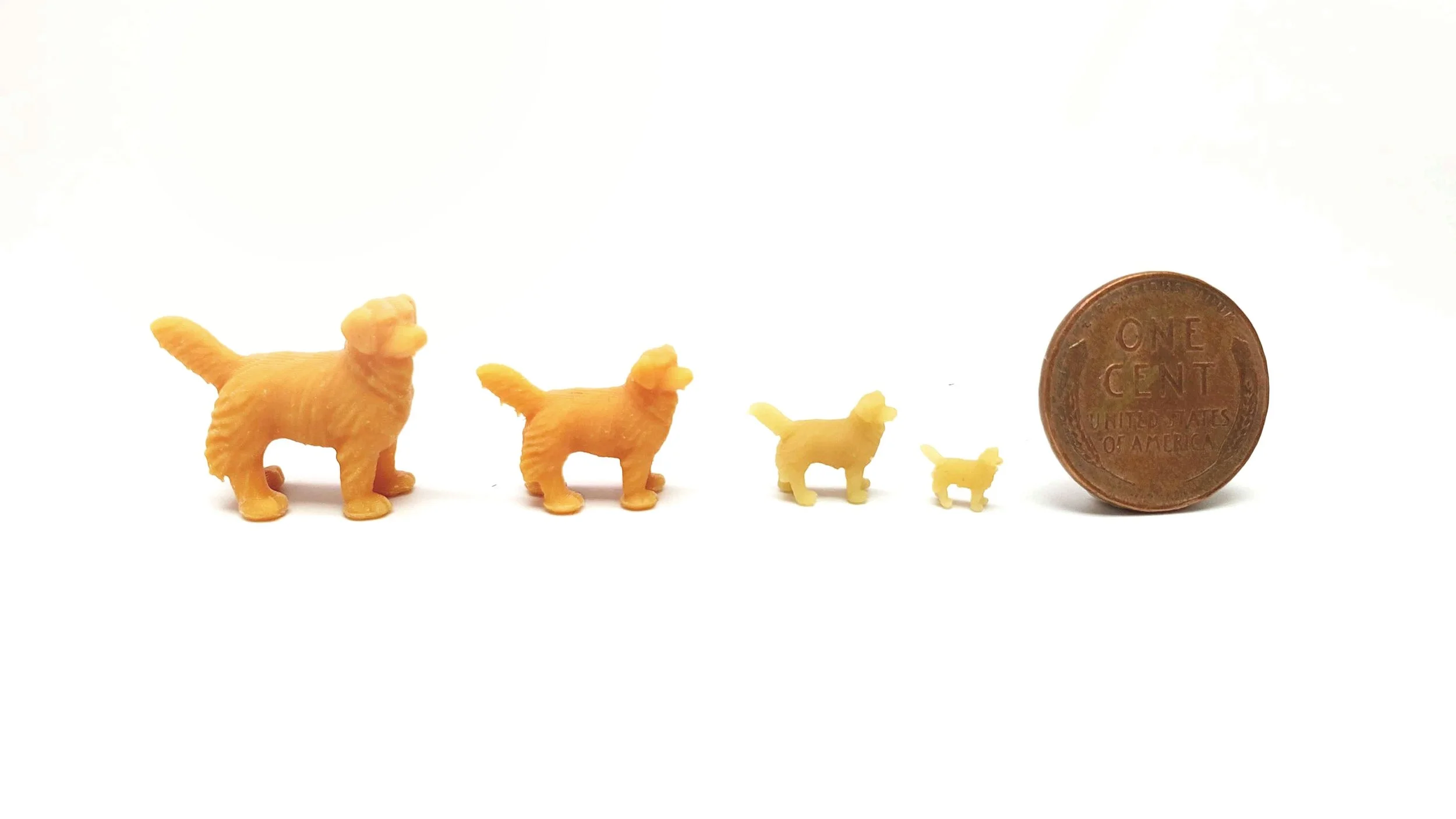 DogSizes.jpg