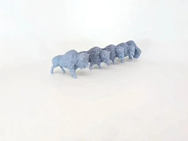 5_miniature_buffalos.jpg