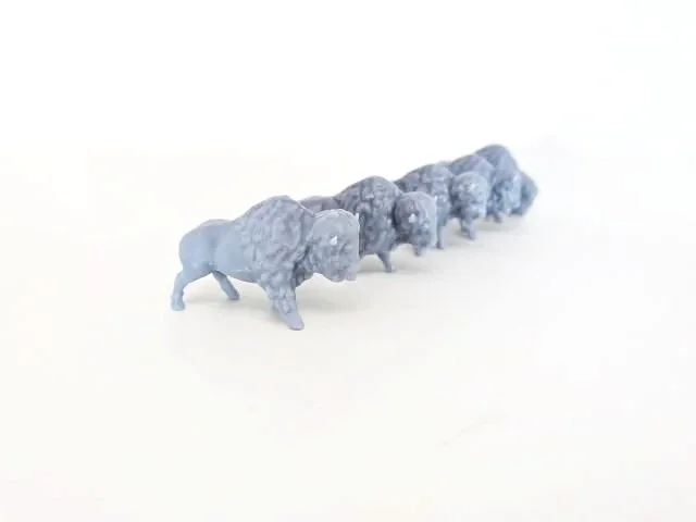 five_miniature_buffalos.jpg