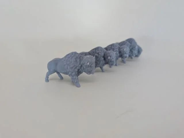 five_miniature_buffalos.jpg
