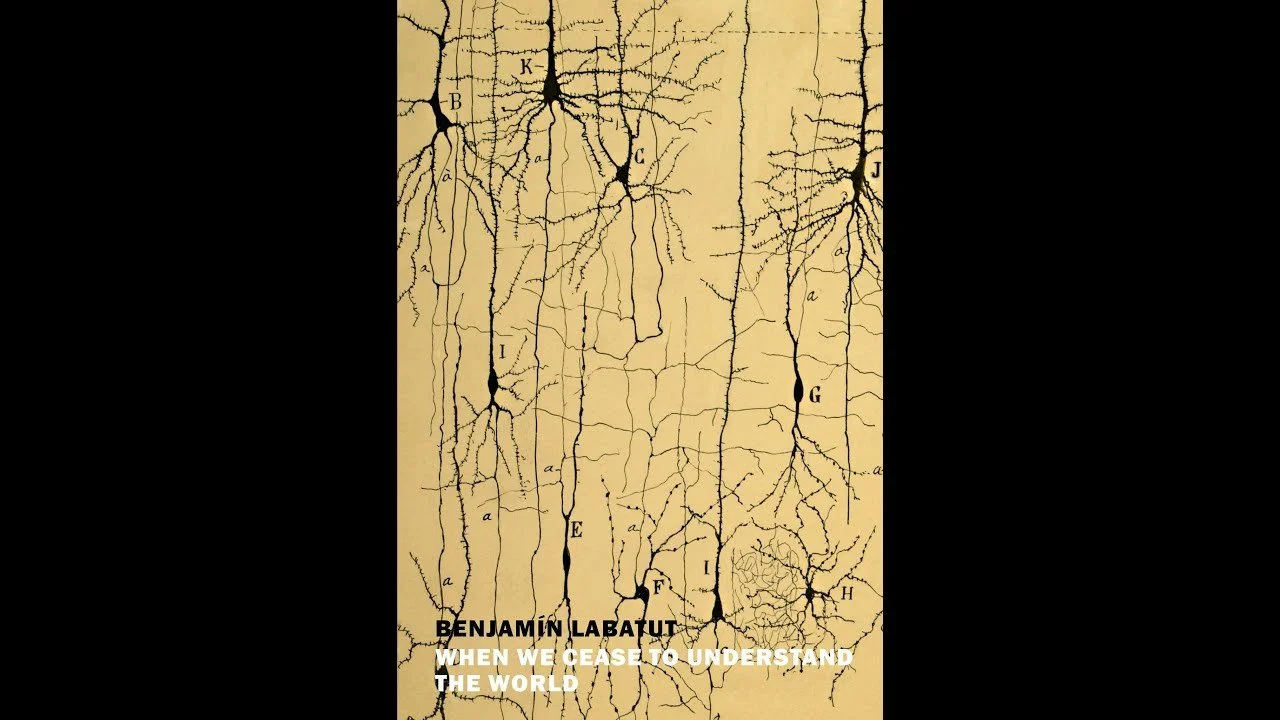 Book Review: When We Cease to Understand the World by Benjamín Labatut