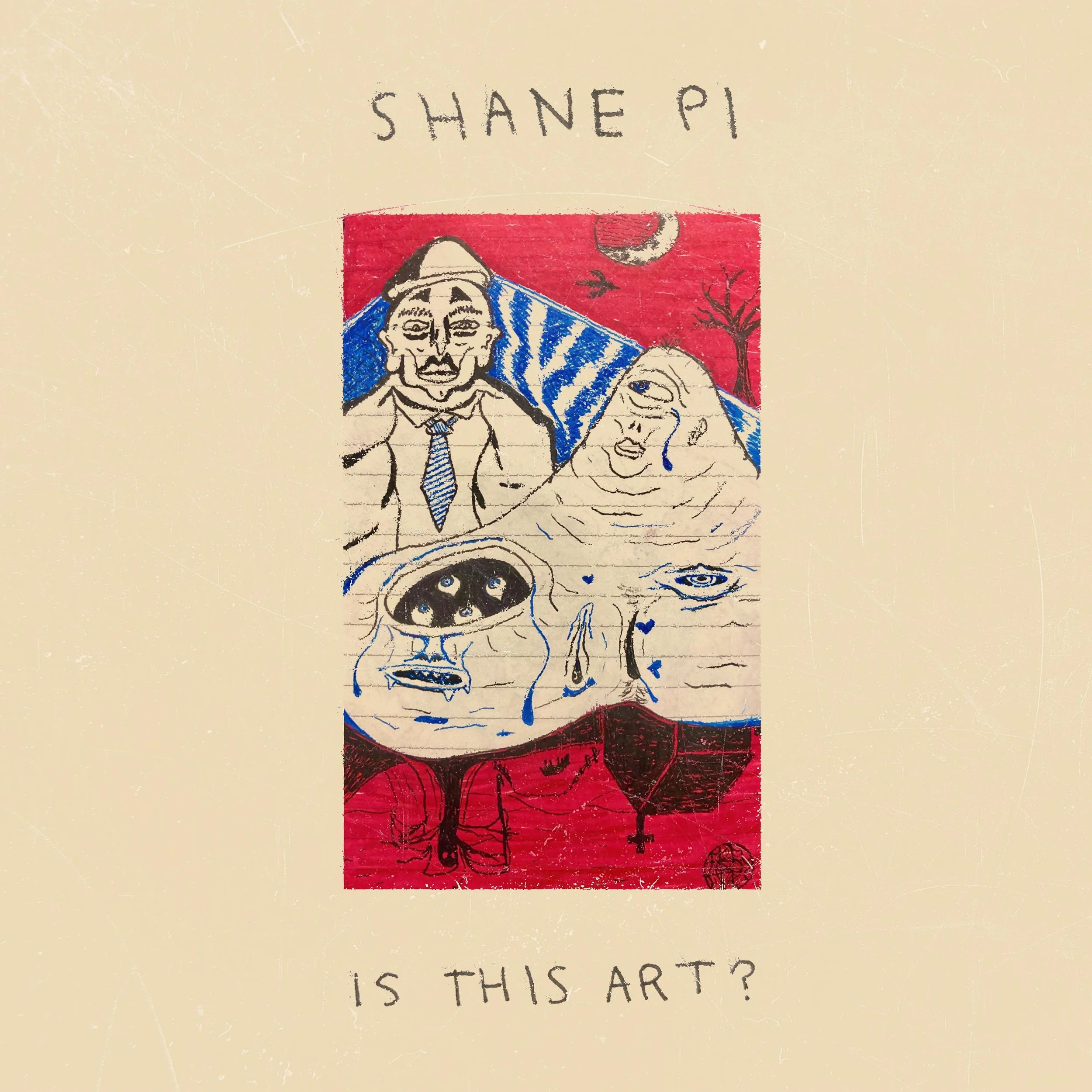 Introducing: Shane Pi