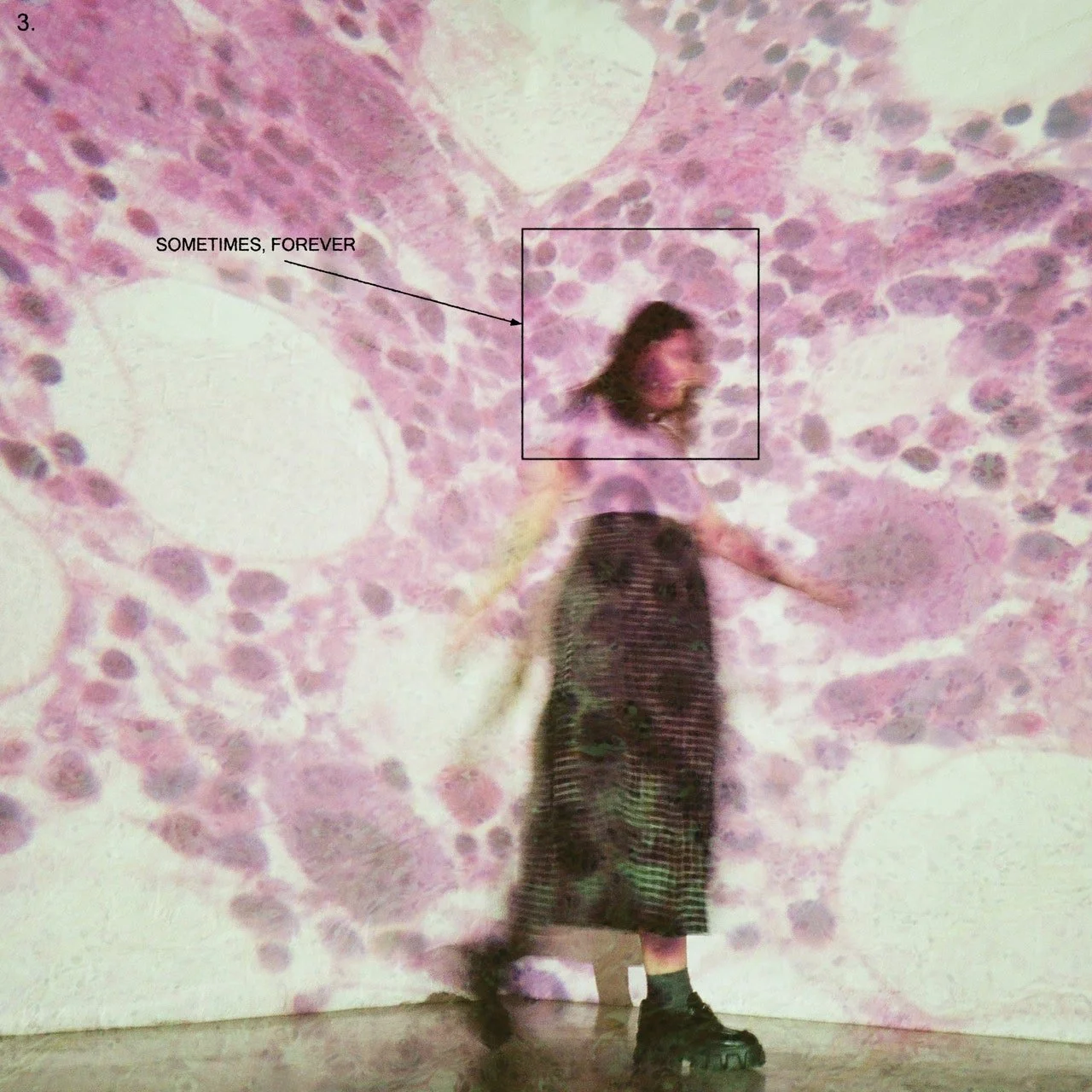 Album Review: Sometimes, Forever by Soccer Mommy 