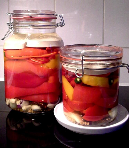 Fermentieren die Basics