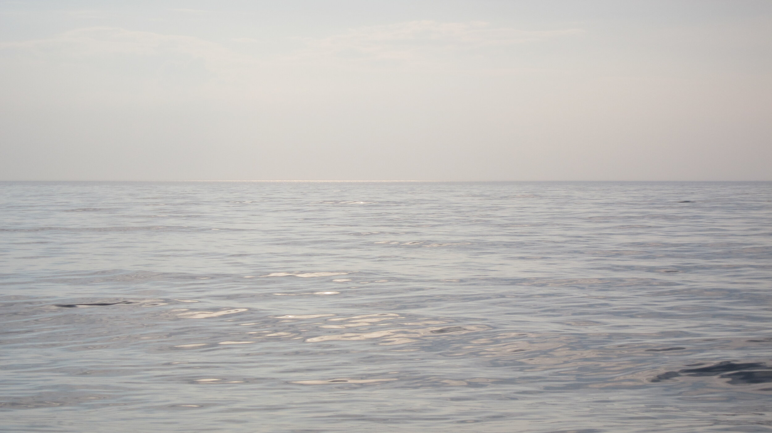 Sea Library | Anna Iltnere