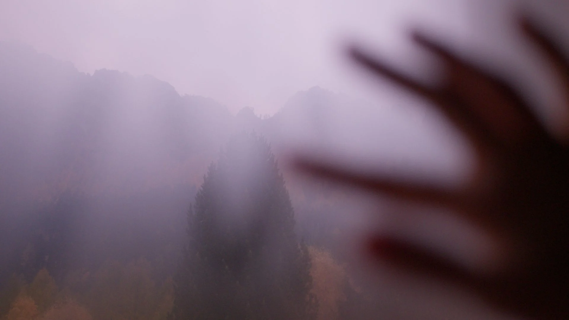 Films of Return