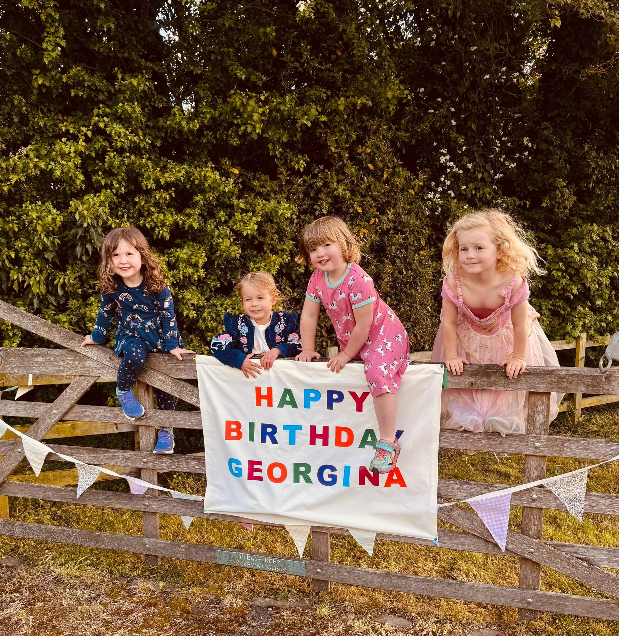 georginas birthday sign 5.jpeg