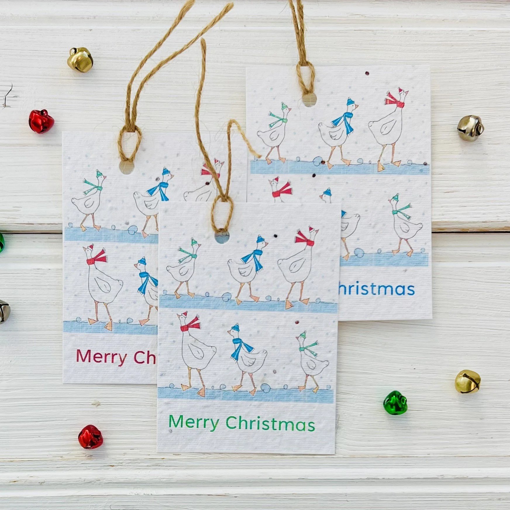 geese seed gift tags.jpeg