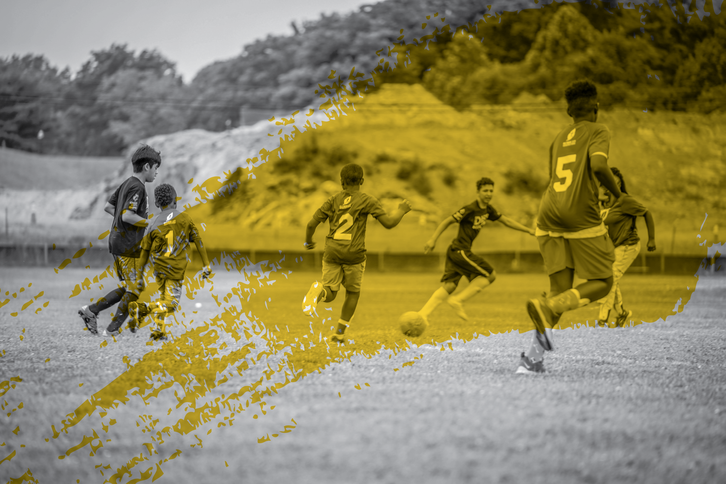 EDIT-00903 (1)_BWCOLOR-01.png