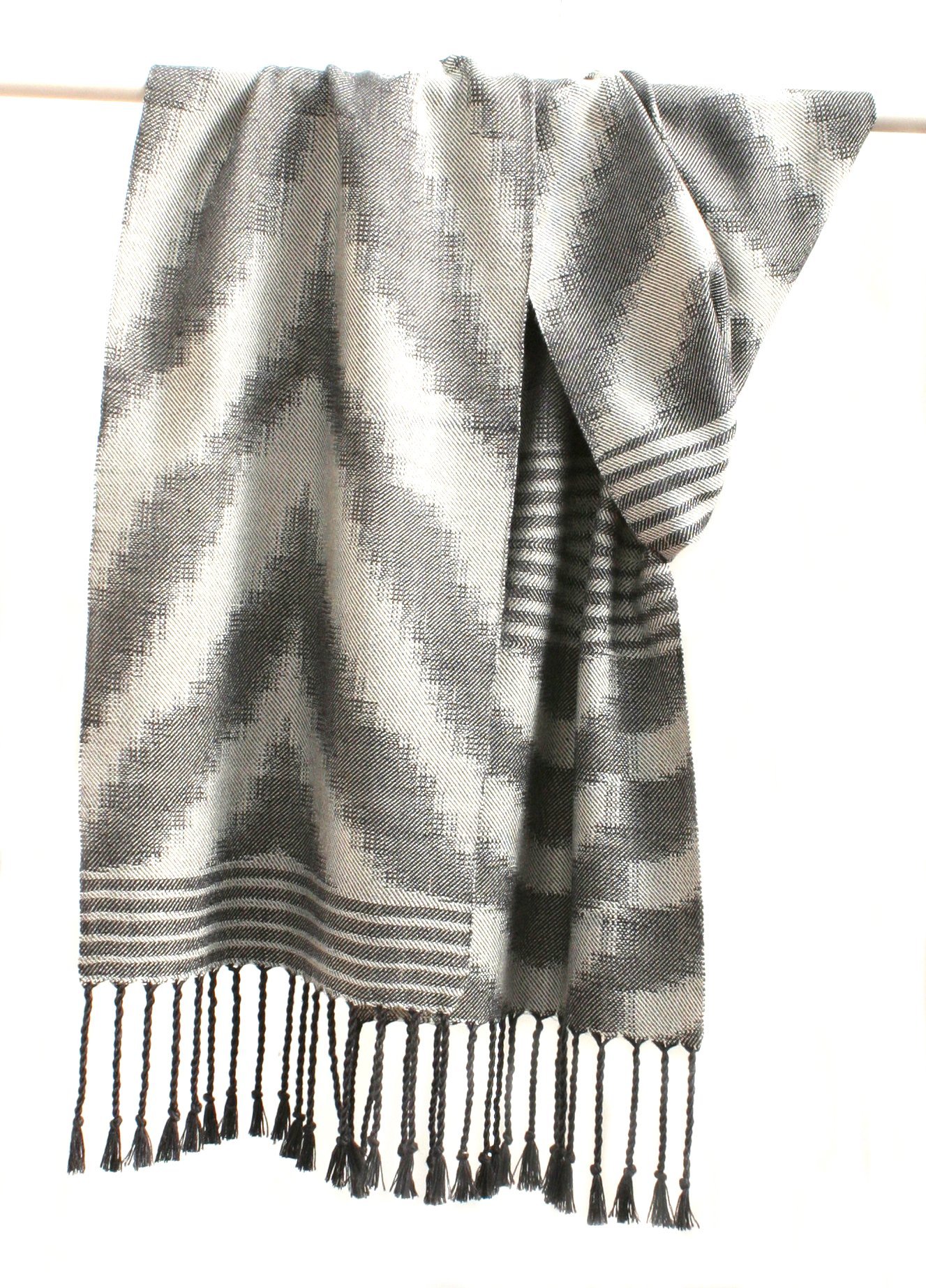 zebra '23 2.JPG