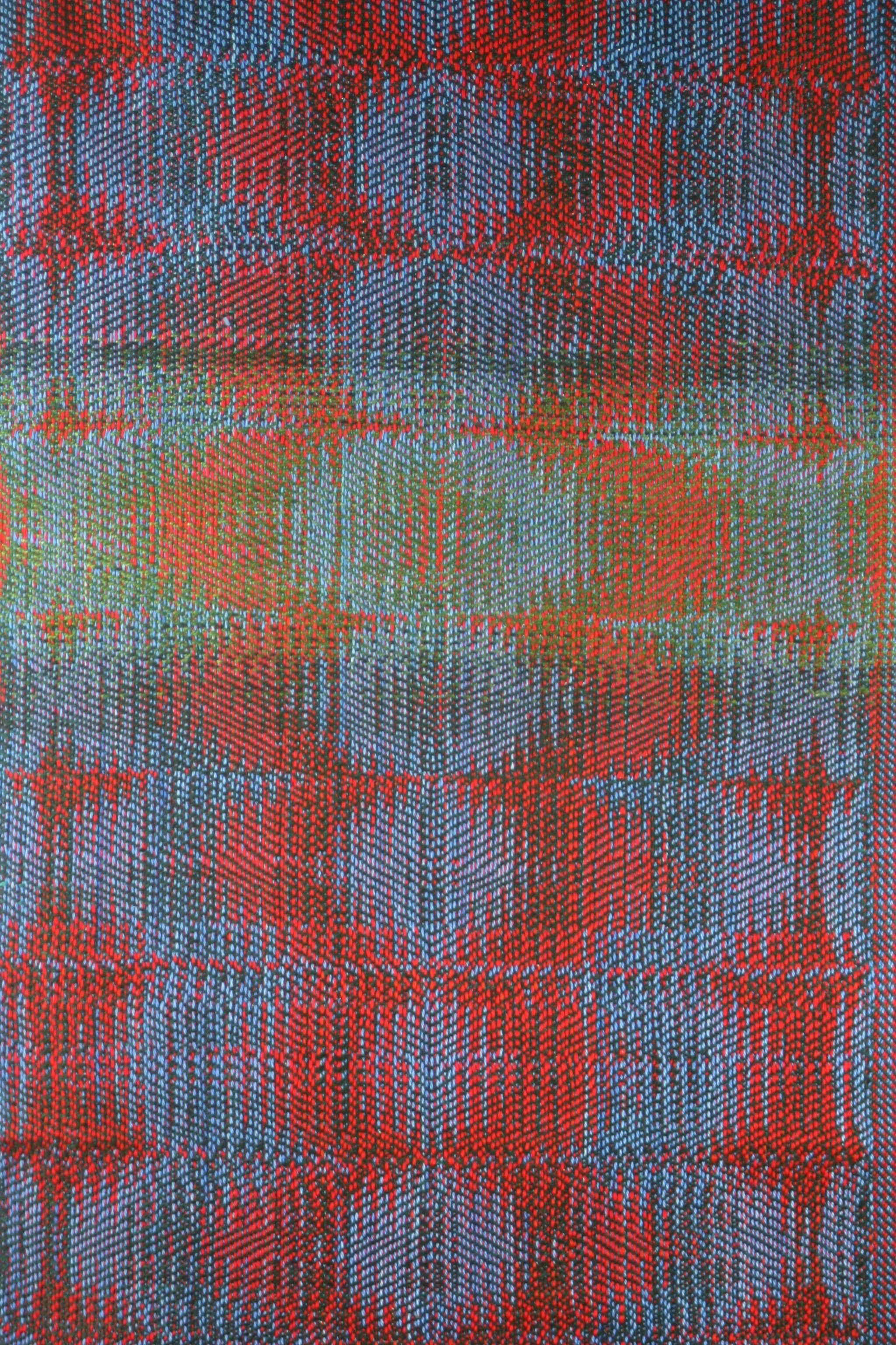 Warpway scallops closeup.jpg