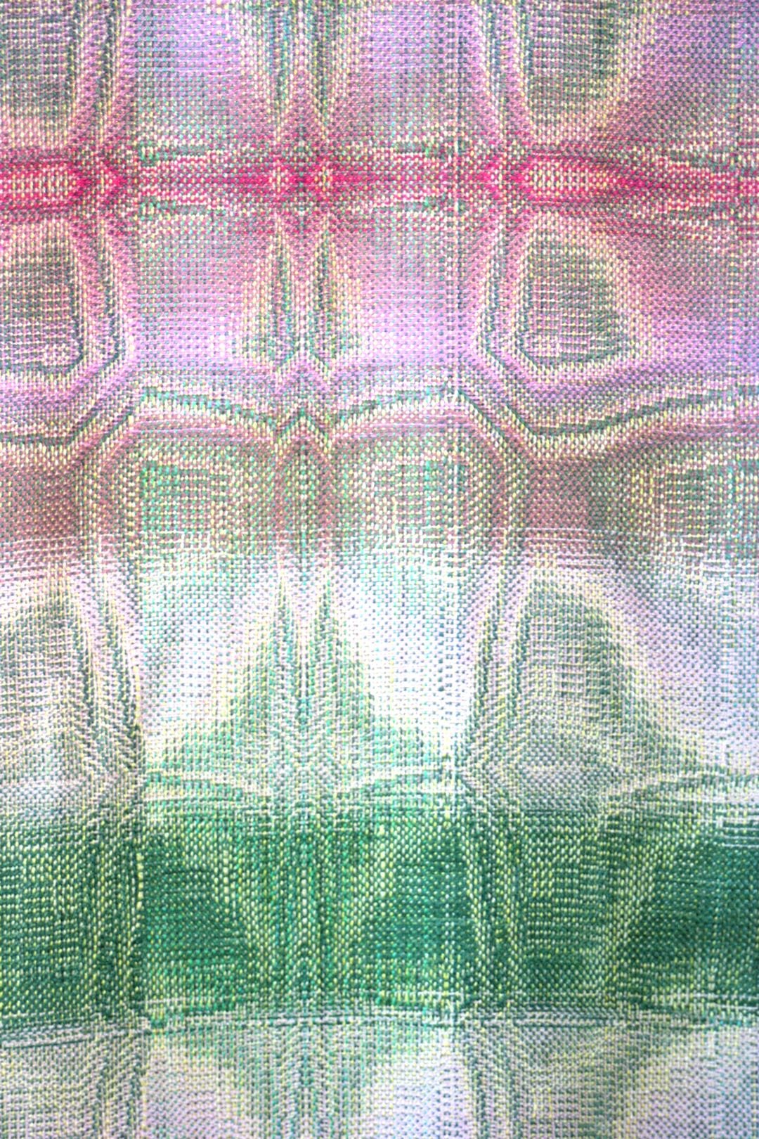 pale pink clematis closeup.jpg