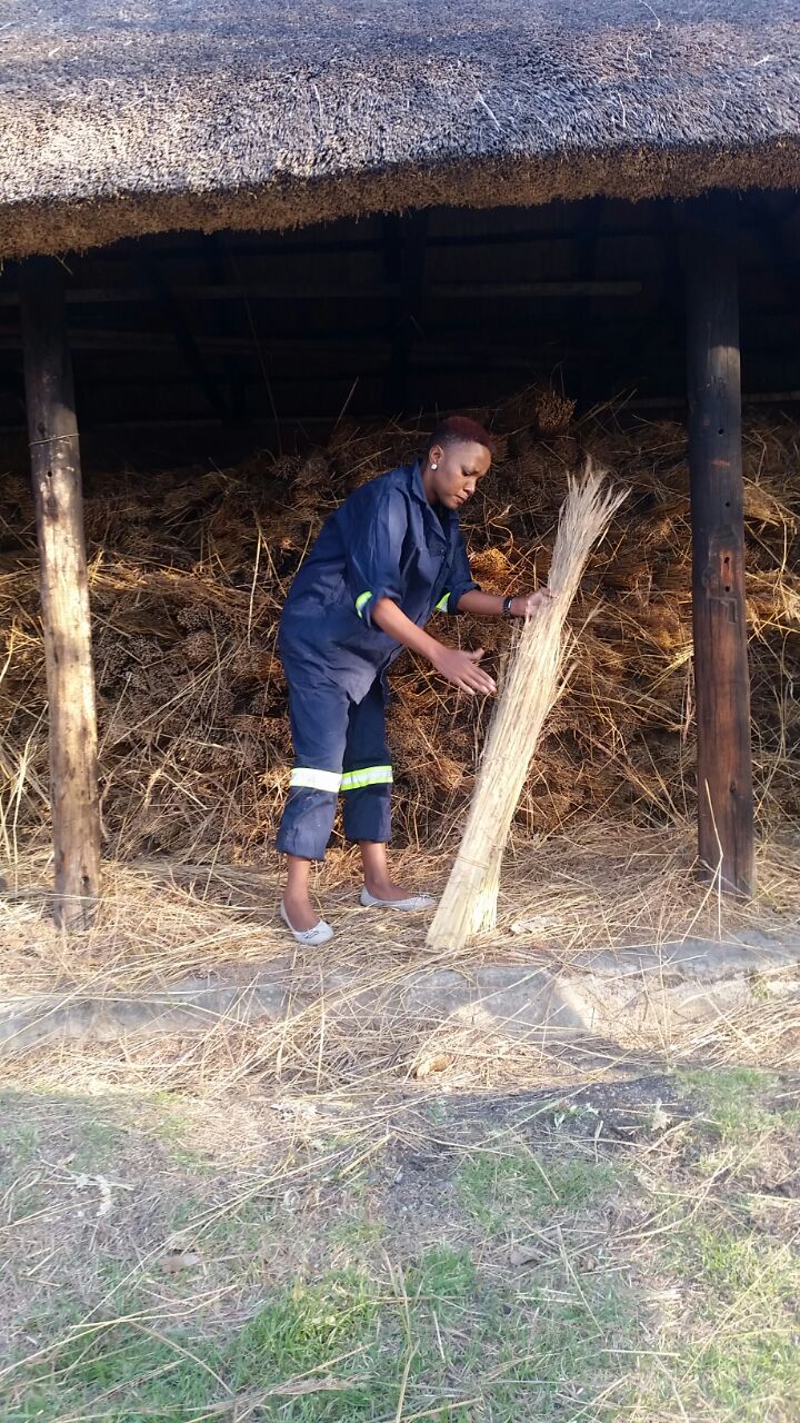 Lungile working with thatch.