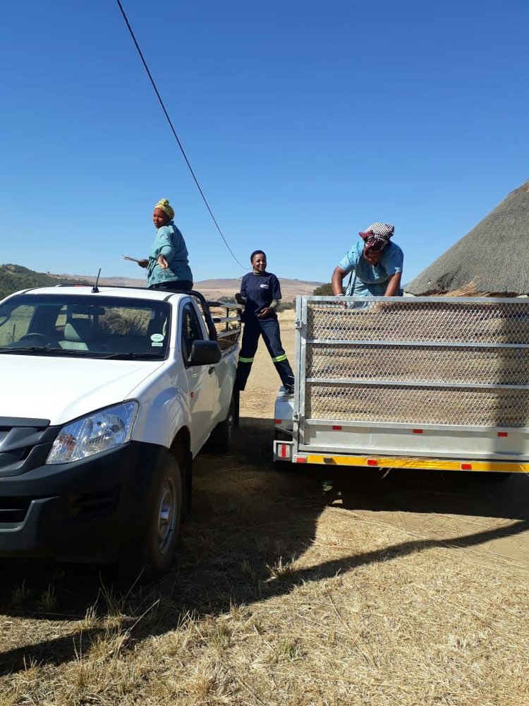 Black women loading bakkie with thatch while business owner records data. Another women is on a trailer sorting out thatch.
