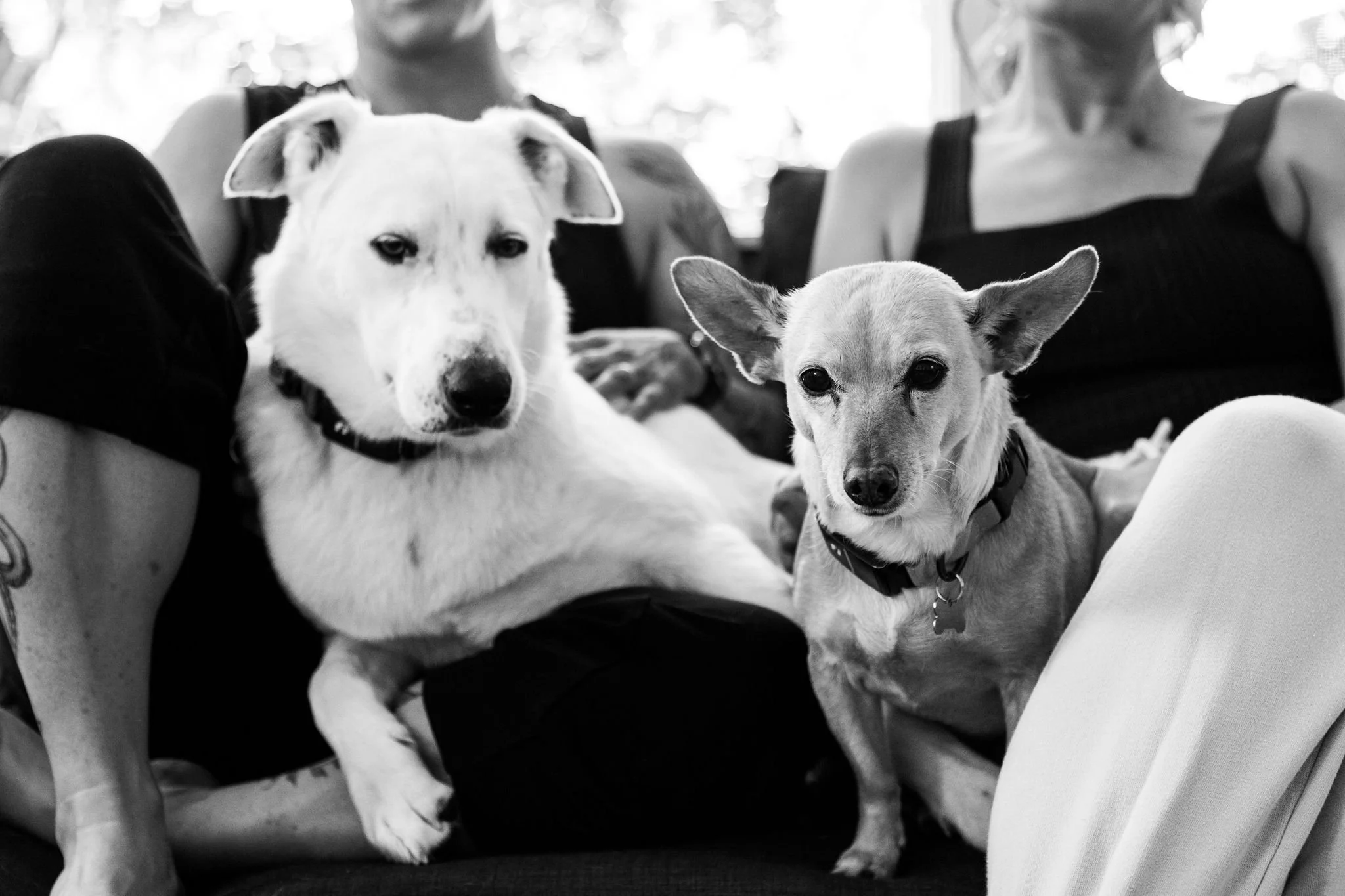 Chels_Nance_Wedding_STEPH_GRANT_STUDIOS-43.jpg