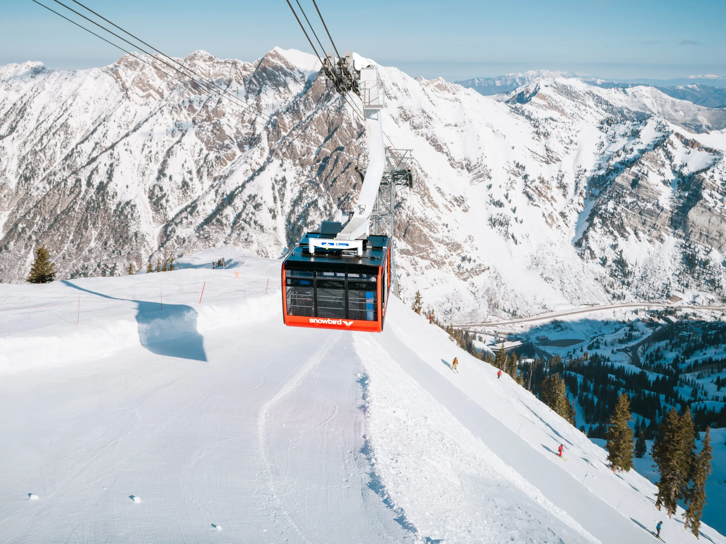 20260311-L1190561-DxO_DeepPRIME XD2s_XD.jpg