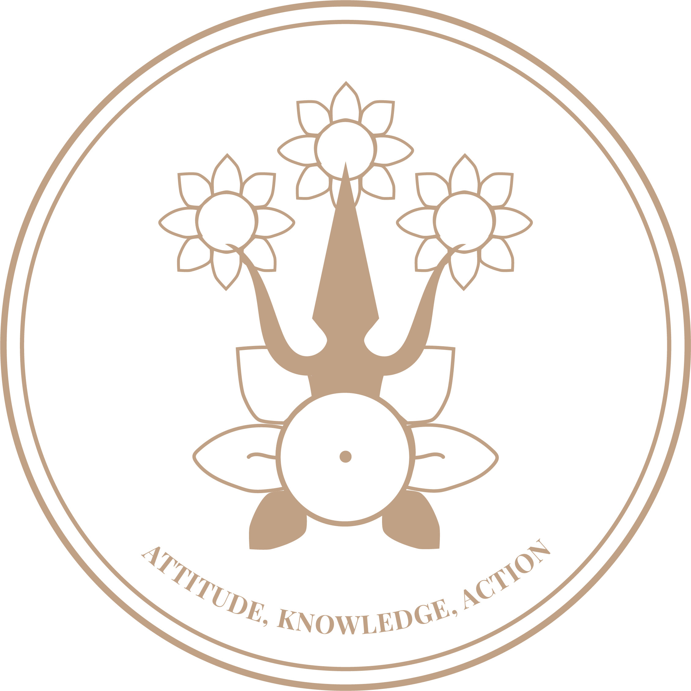 Expanding the Consciousness through Meditation - Module 3