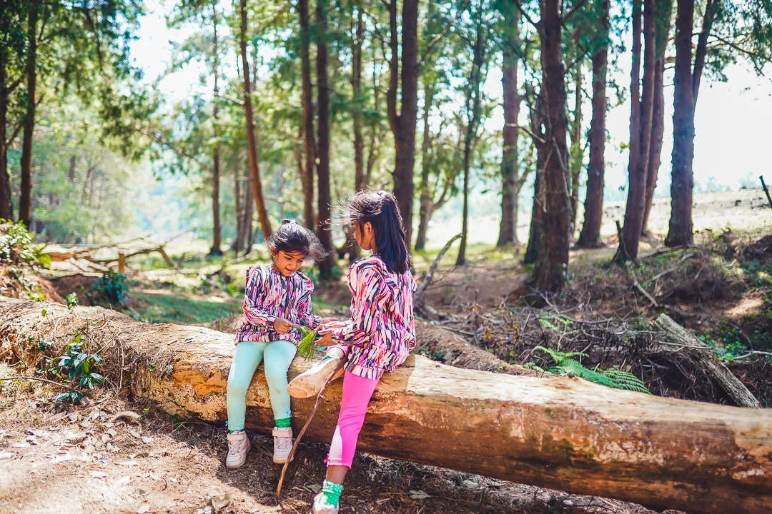 K&K_Ooty_MichelleJobPhotography_LR-132.jpg