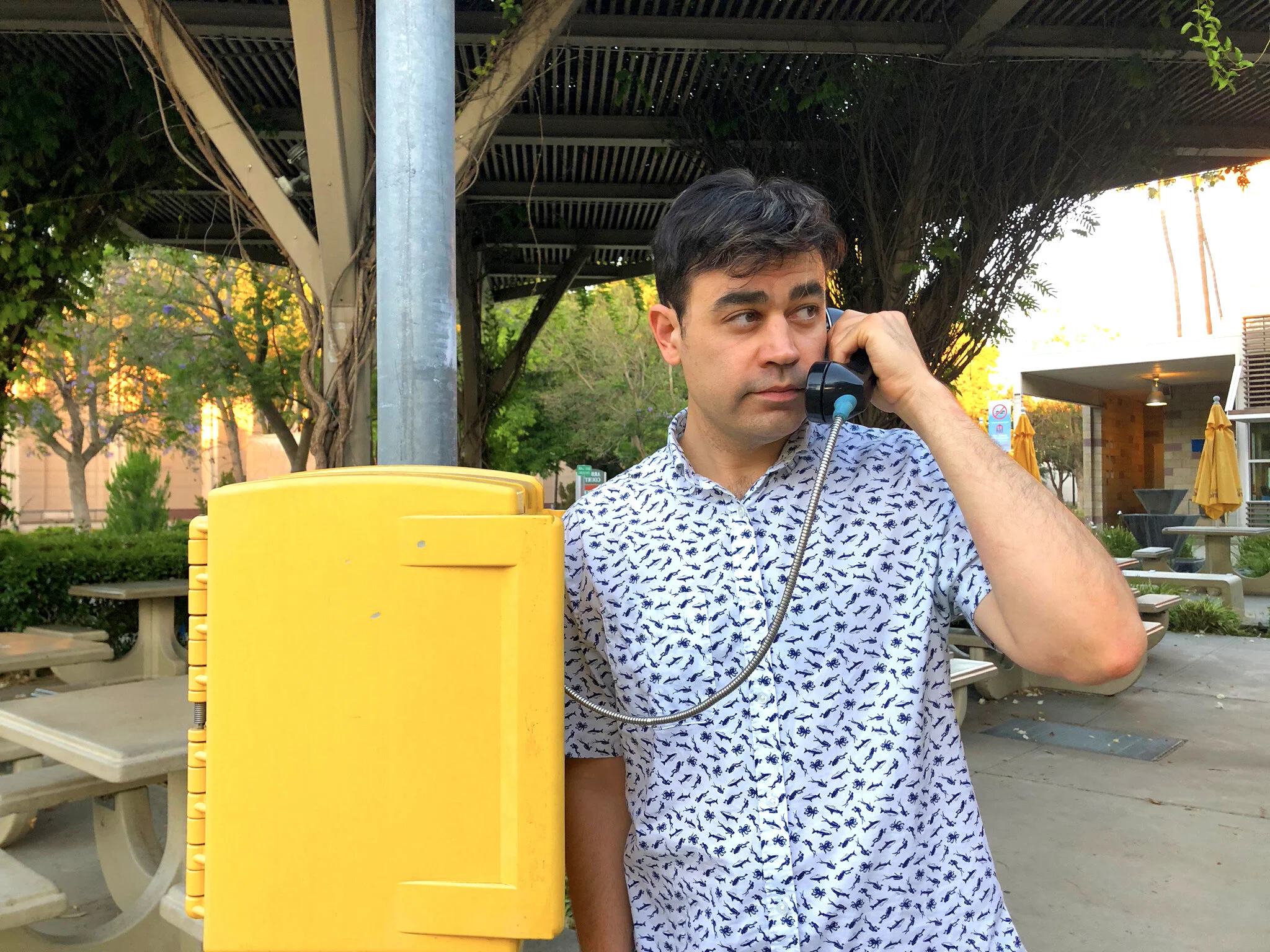 Phone call flip ped.jpeg