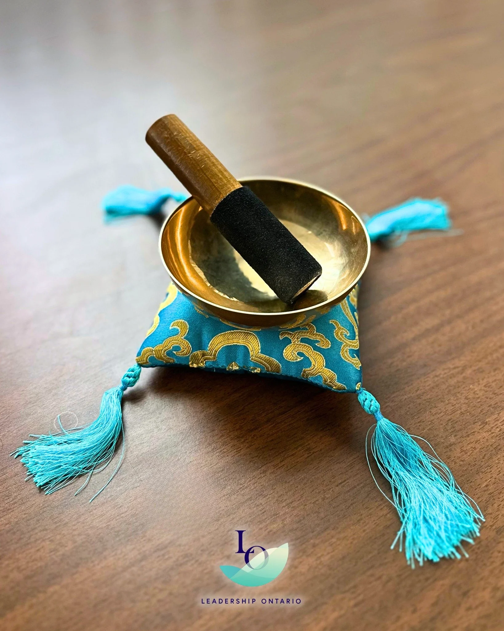 If you've been through Leadership Ontario, you know this sound. 🔔 It&rsquo;s the signal that a day of growth, connection, and community impact is about to begin.

For everyone else? It&rsquo;s an invitation.

We are looking for the next leaders to j