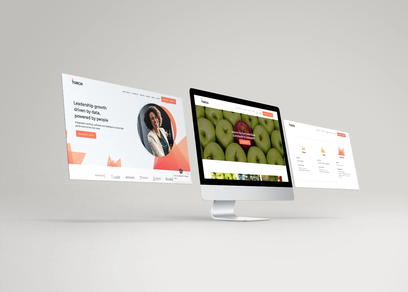 Professional Web Design Services