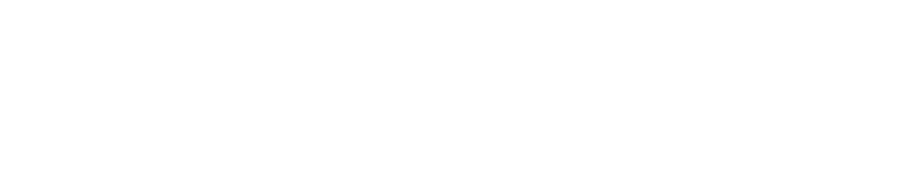 Conrad Blucher Institute