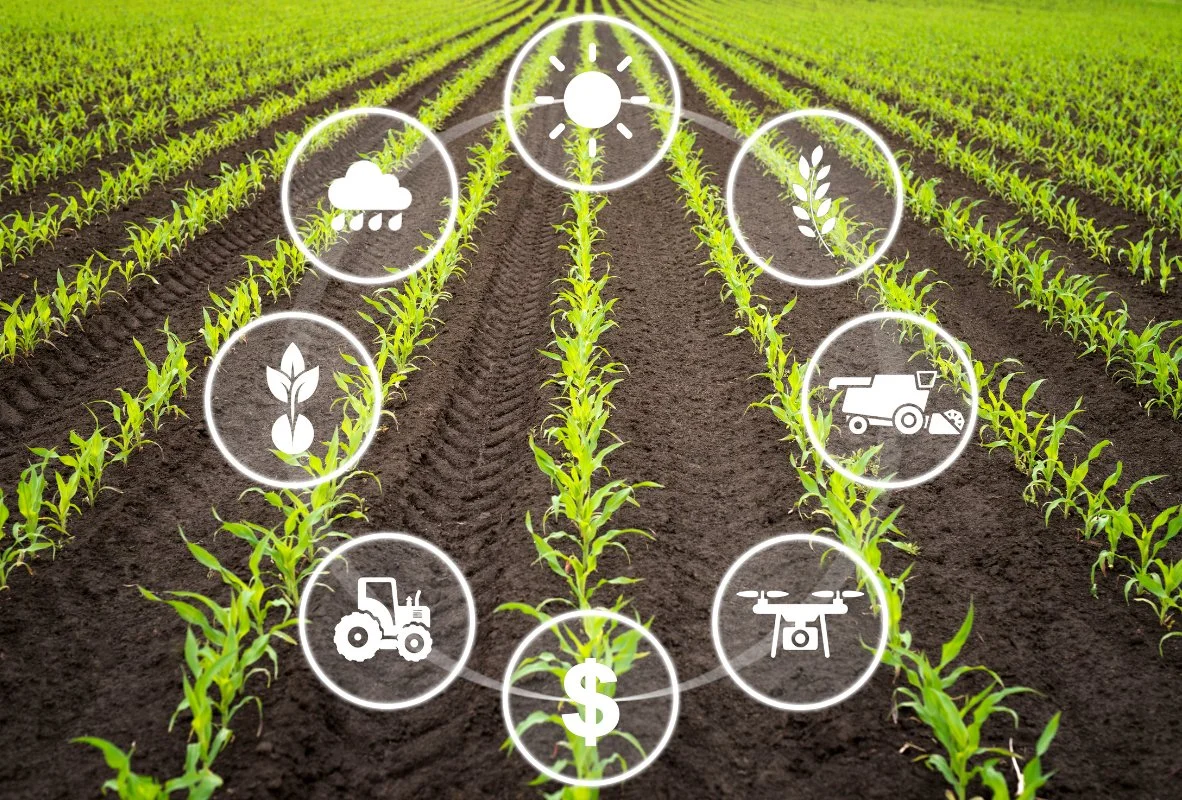 Sowing seeds for tomorrow: New initiative aims to innovate agricultural industry, prepare next generation of workforce