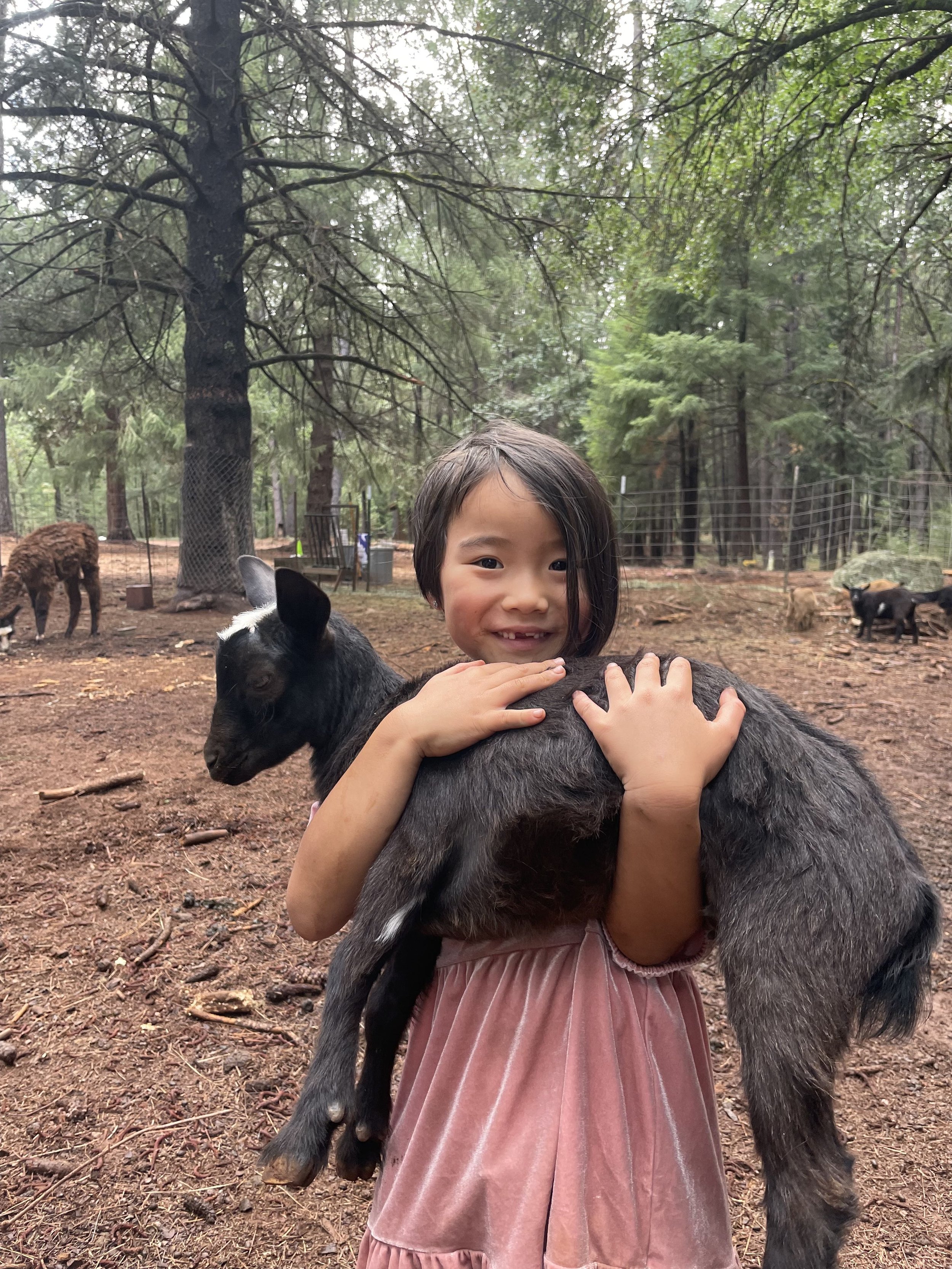 amelia with goat.jpg