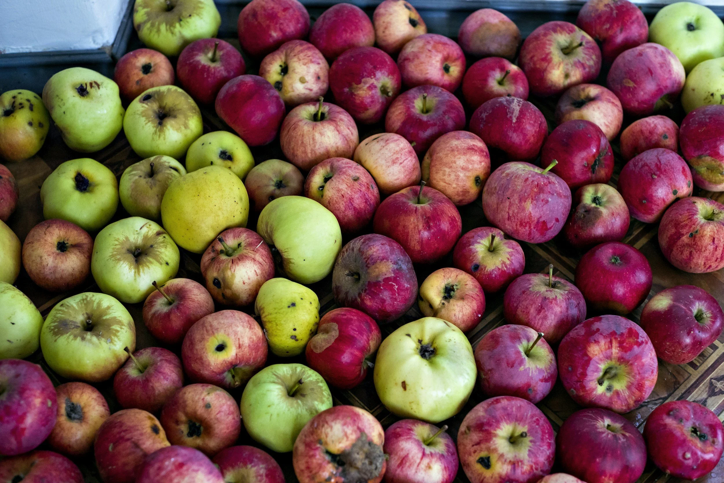 rustic red and green apples