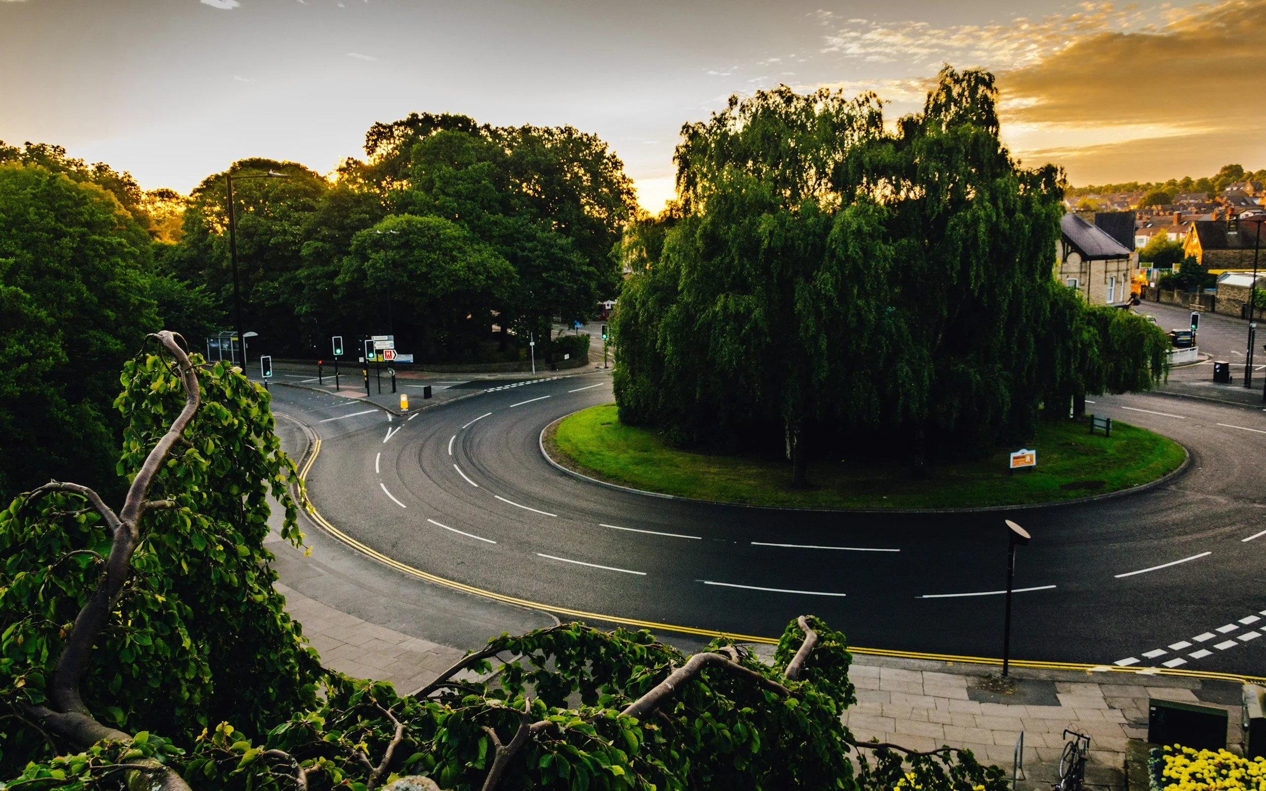 Roundabout with trees in circle at sunset
