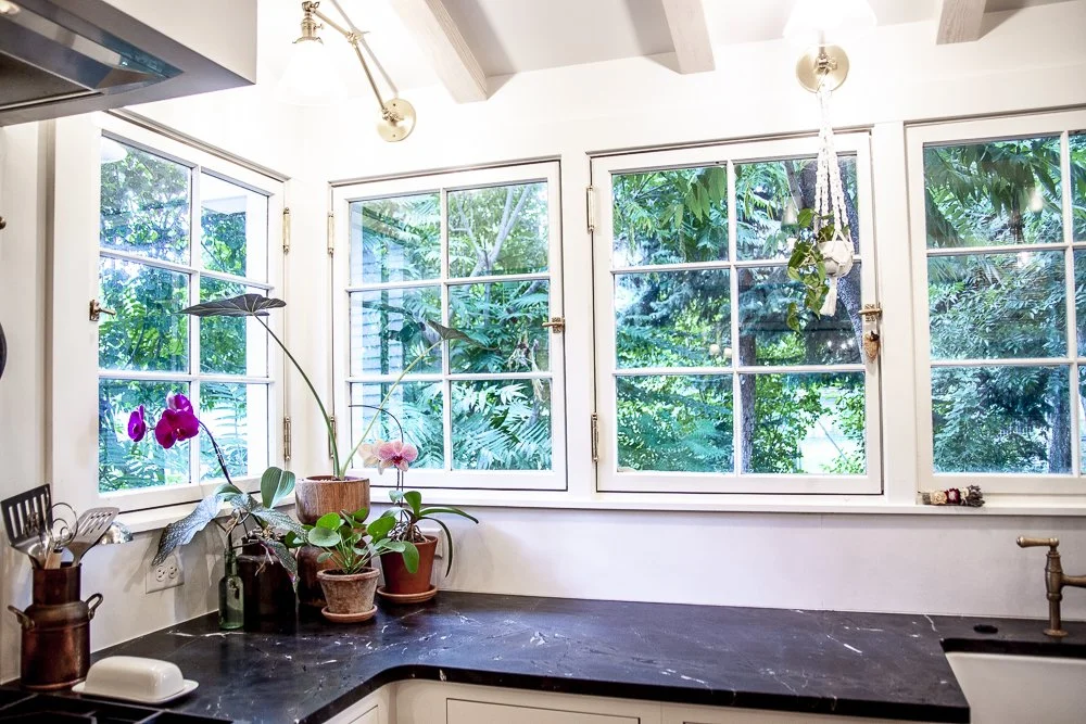 Orchids and plants on a kitchen counter