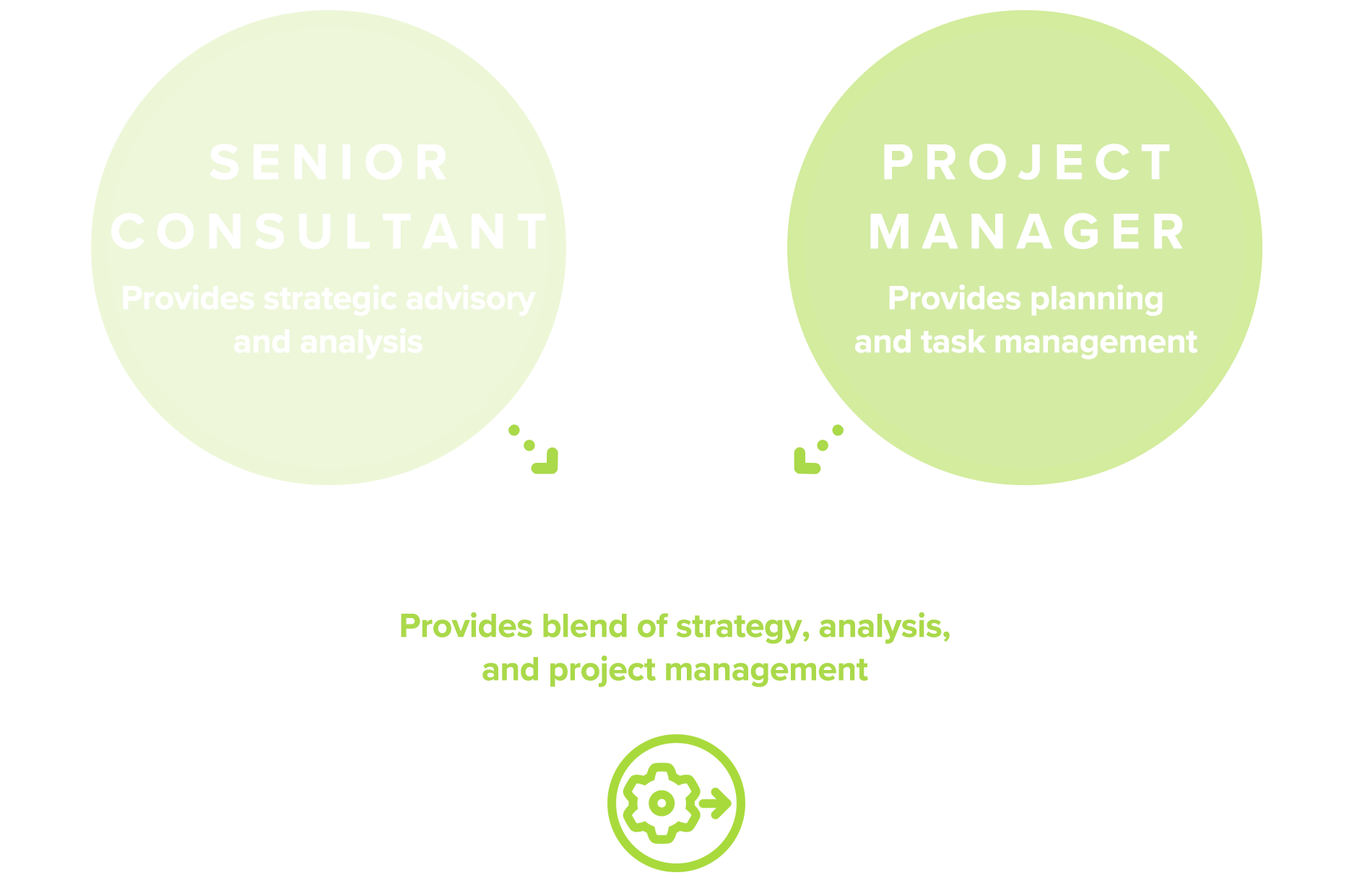 infographic showing that a Senior Consultant and a Project Manager share qualities in common with a Bright Talent Program Manager