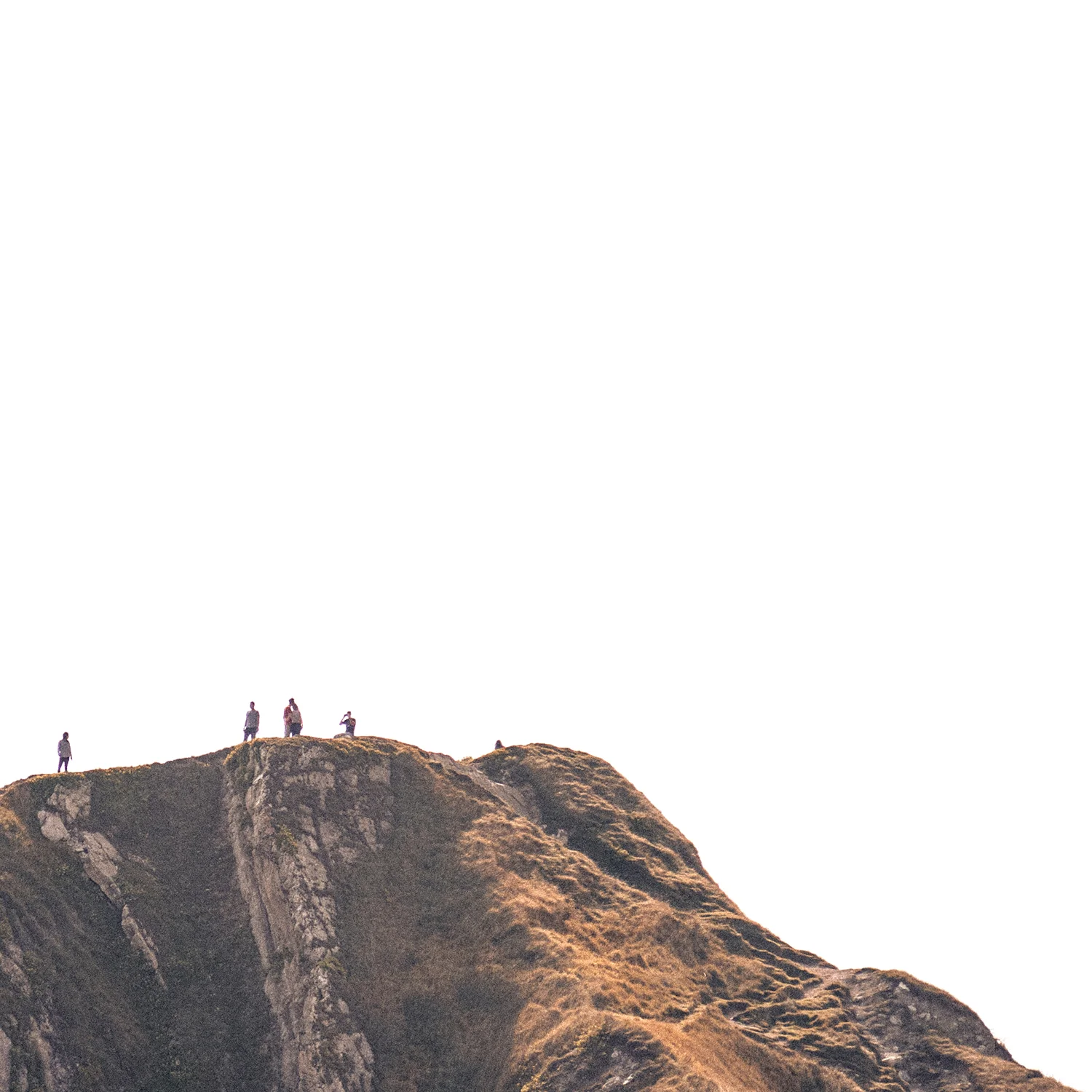 Do Wellness and Leadership Mix? Part 2