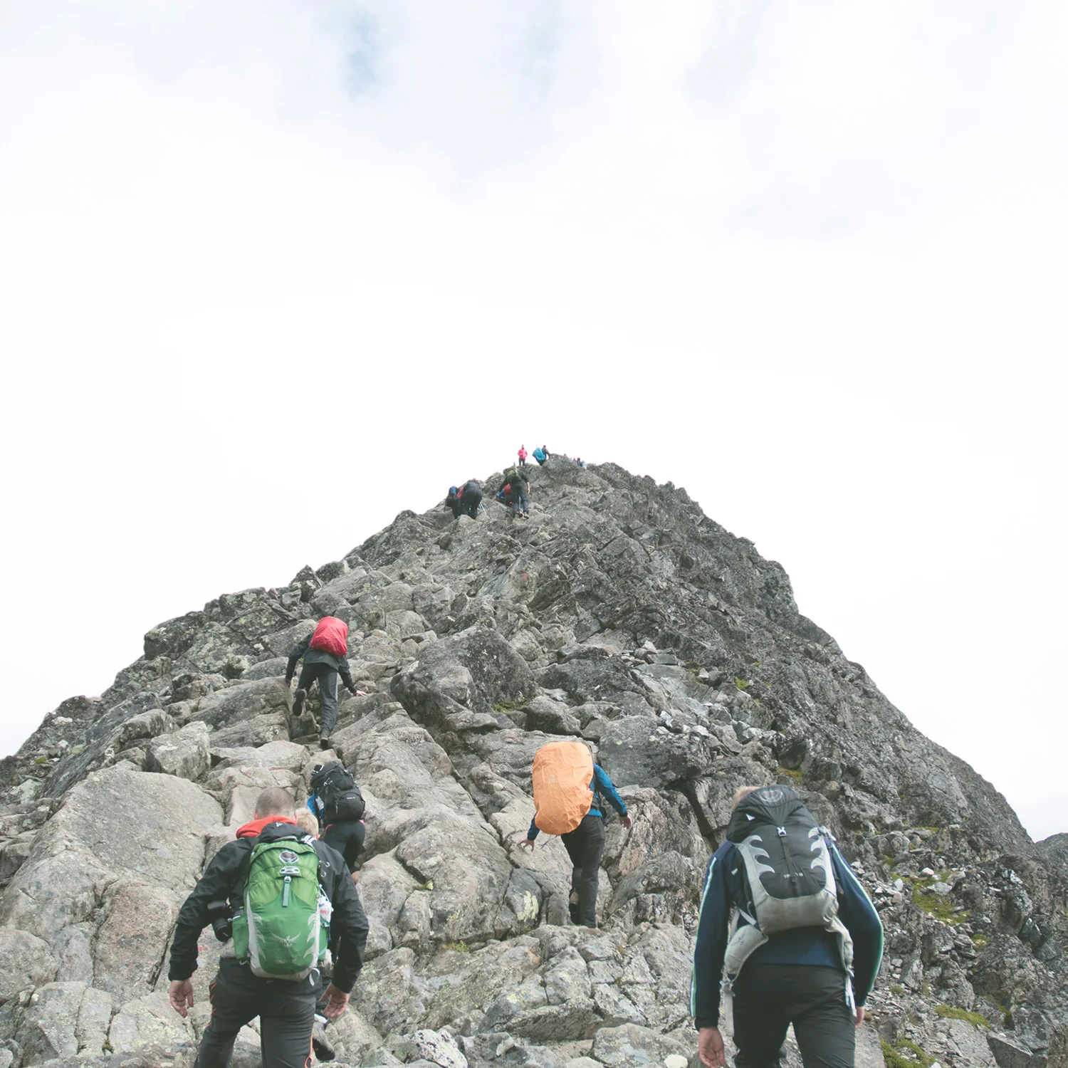 Do Wellness and Leadership Mix? Part 4