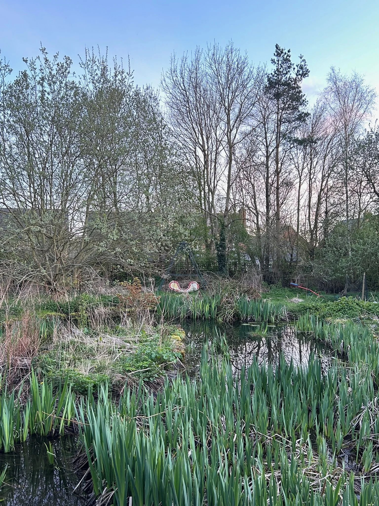 Rewilding in Castlethorpe  - by Annie Handyside