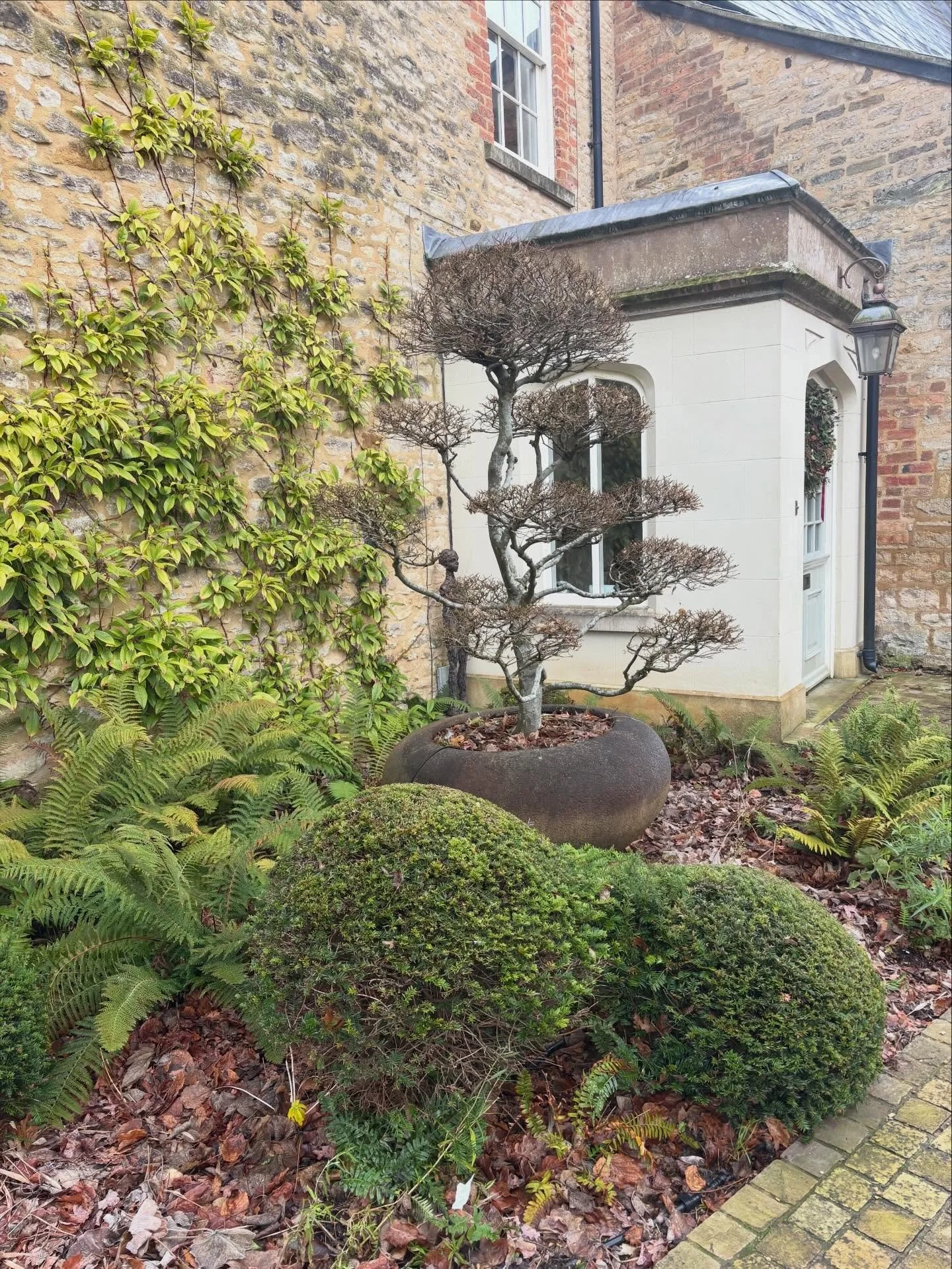 It&rsquo;s slim pickings for the next few weeks, but there&rsquo;s something I like about that; the chance to appreciate bits of the garden that get overlooked in the razzle dazzle of the warmer months and autumn&rsquo;s fanfare. Today I&rsquo;m shar