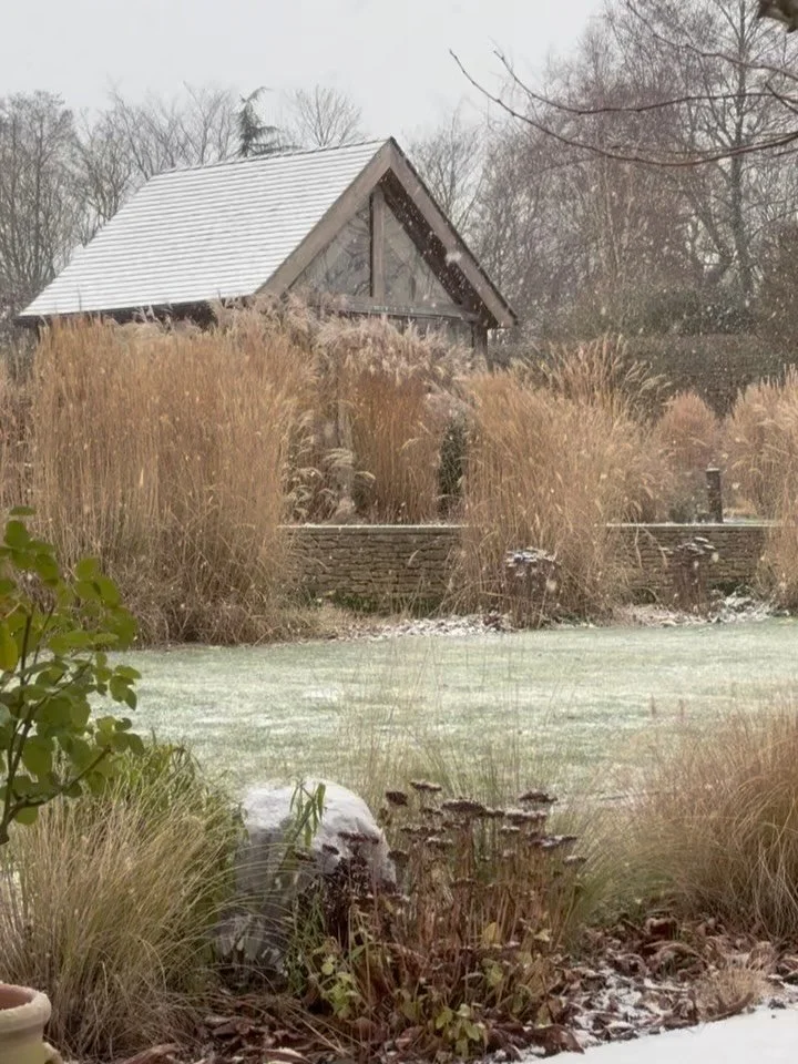 January in the garden/ kitchen.

The highlight so far: an open day on a glorious crisp and sunny Saturday. But actually lots of glimmers too, when we look for them x