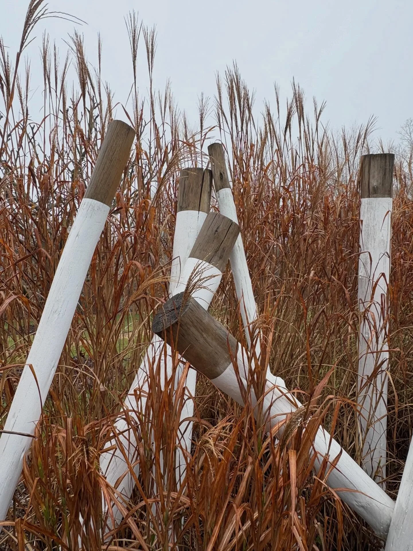 Winter Swimming Pond 💙

&ldquo;When it&rsquo;s cold, water freezes into ice; when it&rsquo;s warm, ice melts into water. Similarly, when you are confused, essence freezes into mind; when you are enlightened, mind melts into essence.&rdquo; &mdash; 
