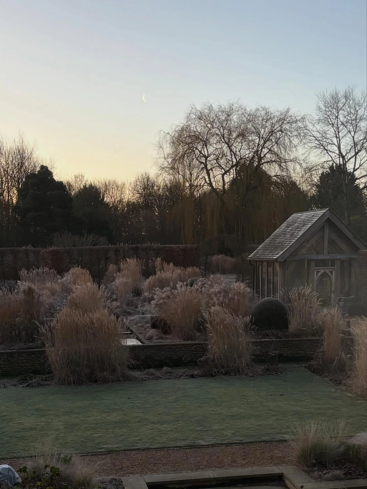 Is it ever ok nowadays to post a single still image, no text overlay, a bit of token background music? Hoping so&hellip;.

A frosty garden, a tiny crescent moon. 

It&rsquo;ll be time to begin the big chop back very soon. Meanwhile, I&rsquo;m enjoyin