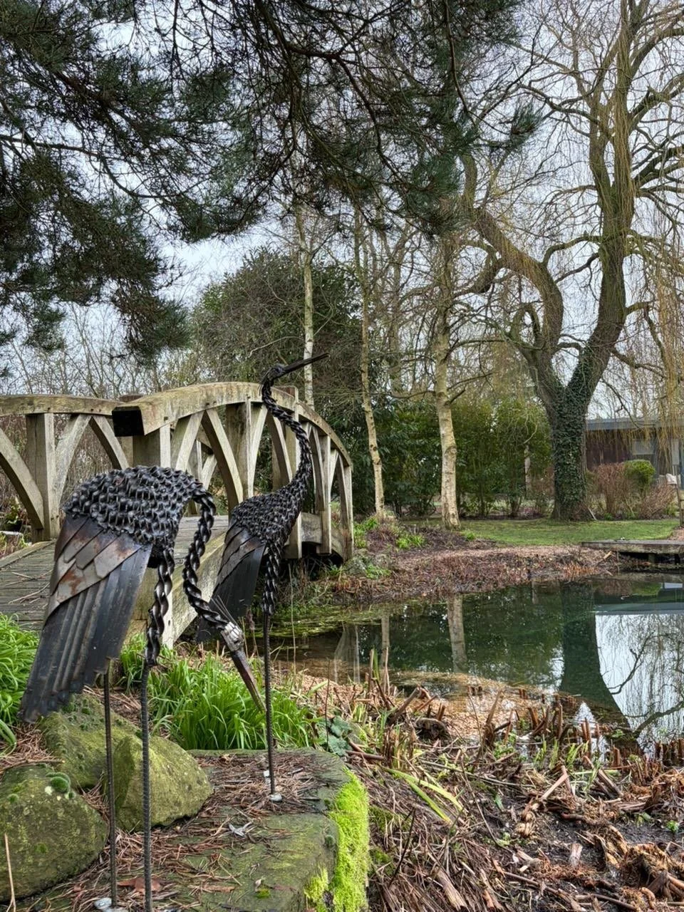 The herons are back! In fact, they have been for a while, but now that the reeds have had their winter chop you can really notice their slender forms, keeping watch over the pond.

Long time followers might remember that our herons were stolen from t